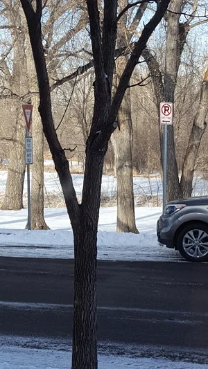 I think you'll want to read this, because ...