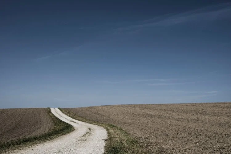 field.jpg