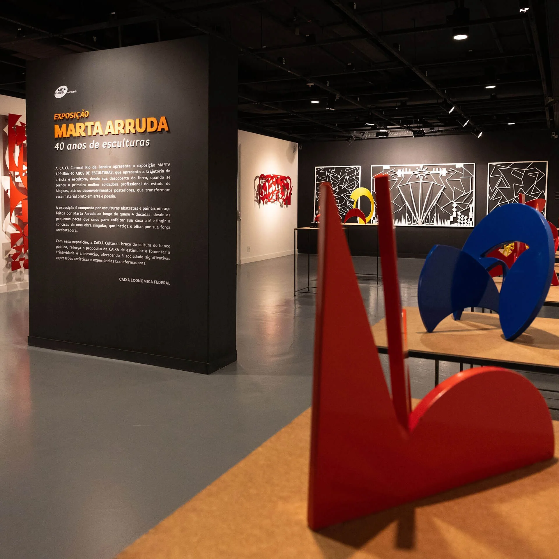 Expo-Marta-Arruda-por-Monica-Ramalho-22.jpg