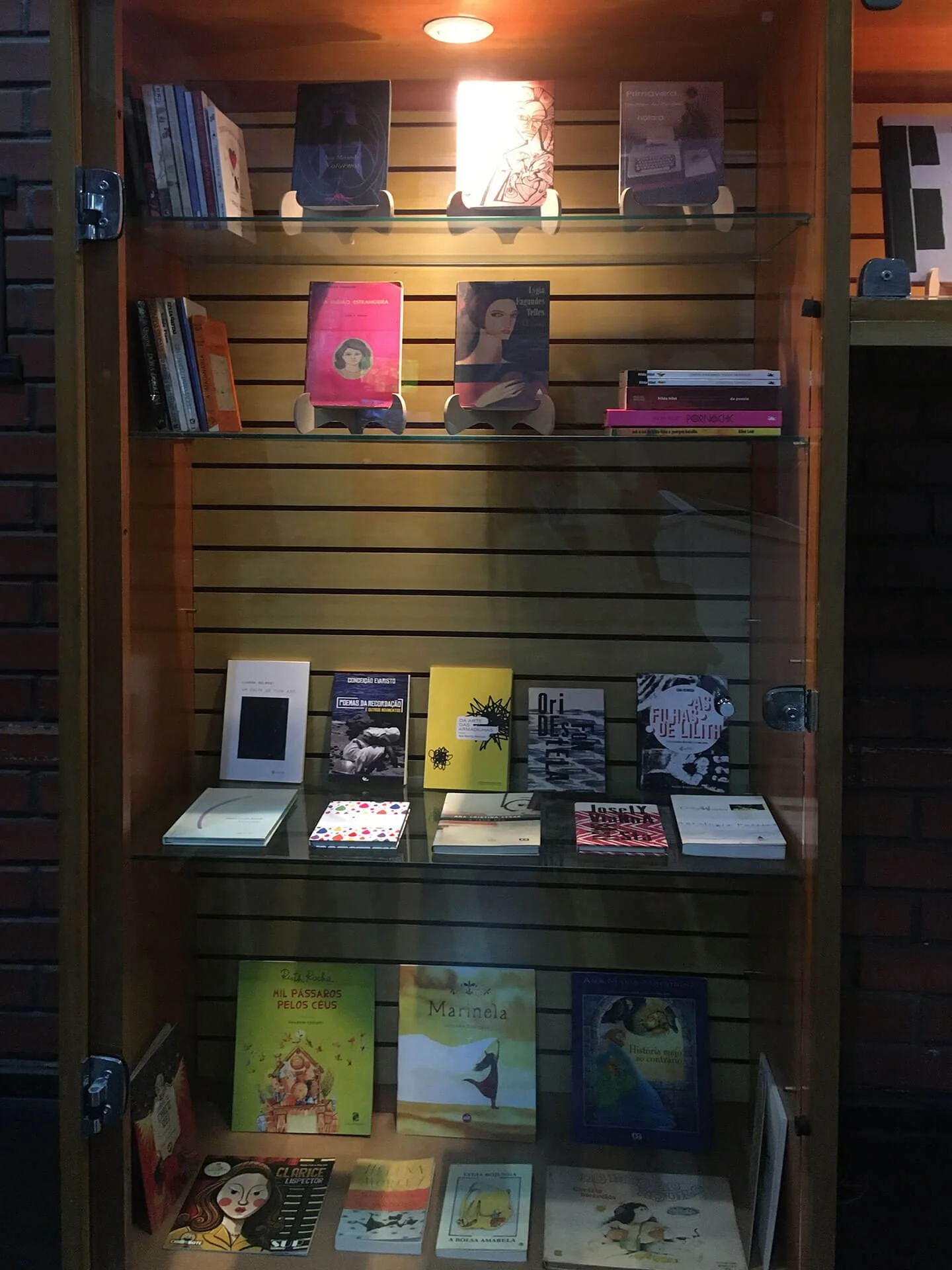 3_Laura_livros5.jpg