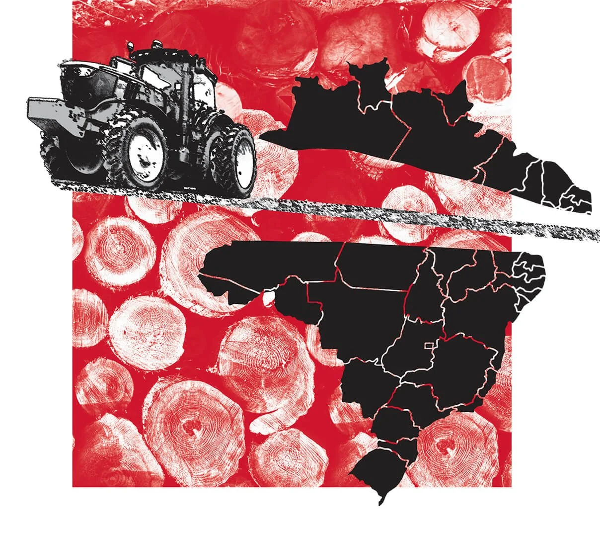ILUSTRACOES_FF_REVISTA-US-1.jpg