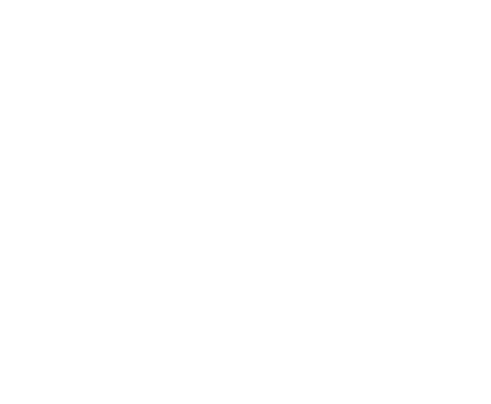 CMT-boneval-logo-master-white_slash.png