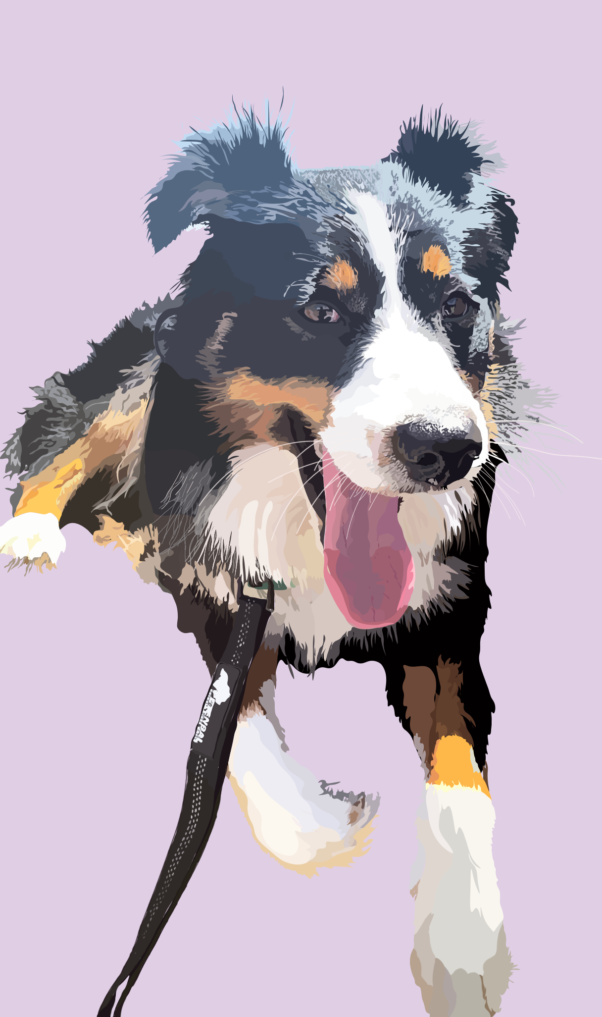 dog.png