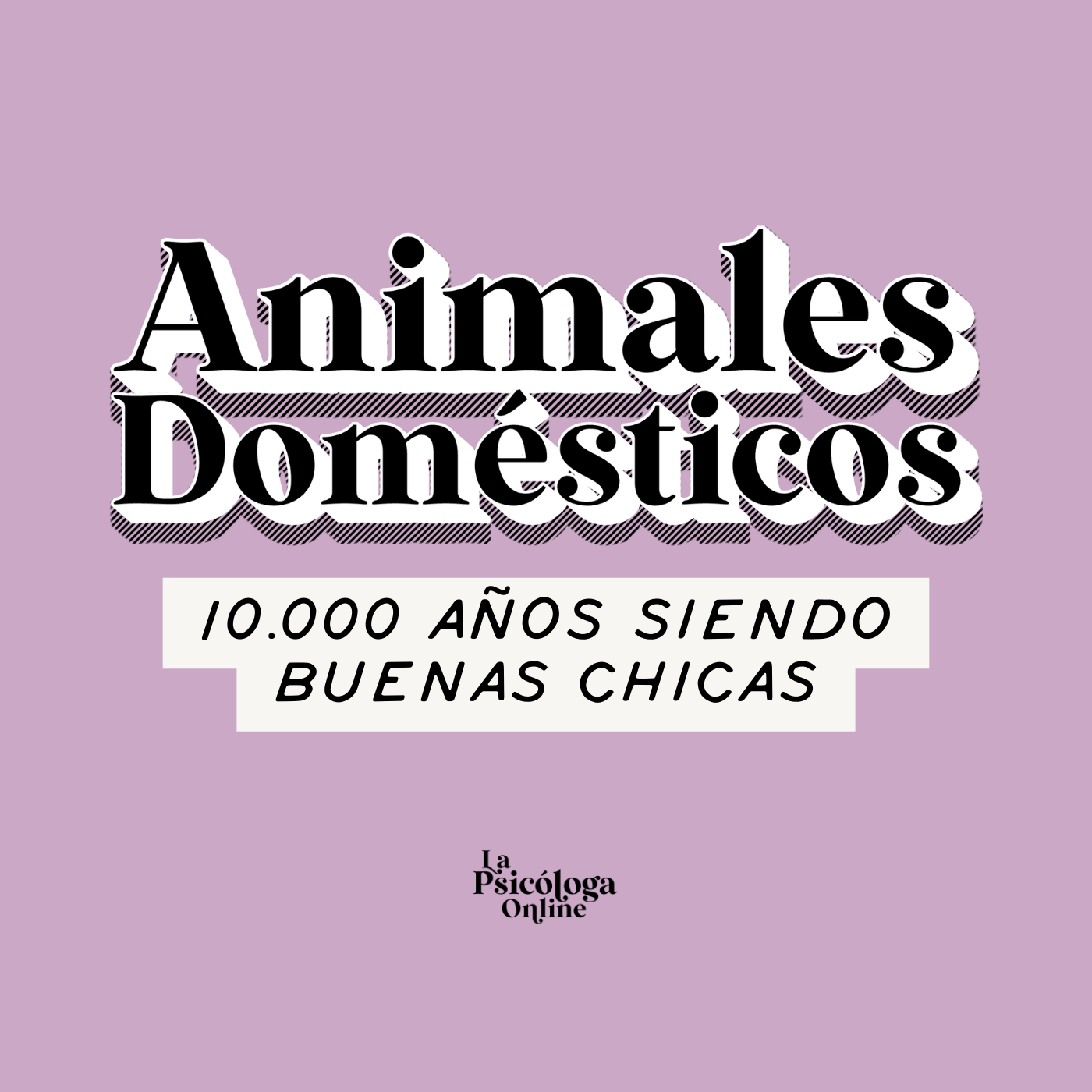 ÁNIMALES DOMÉSTICOS