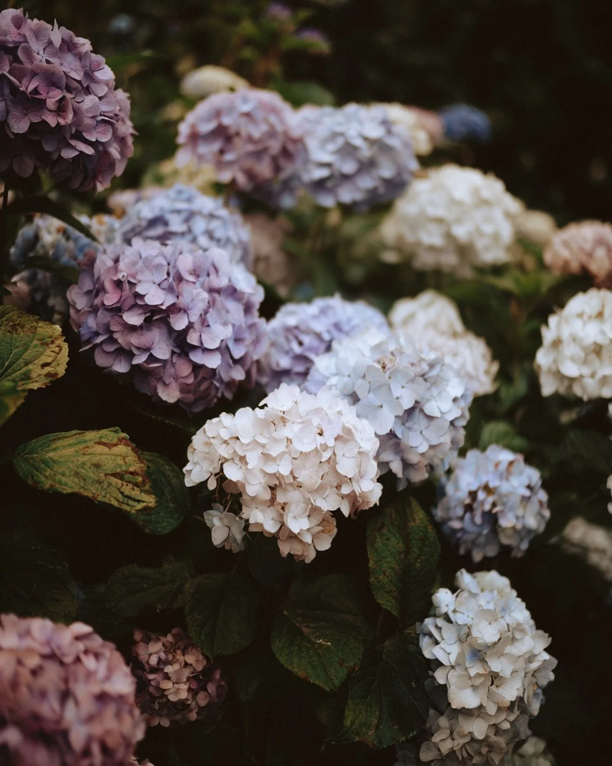 Hay d&iacute;as en los que todo est&aacute; en su sitio y, sin embargo, algo no termina de encajar. No es una falta evidente, no hay nada que se&ntilde;alar con el dedo, ninguna escena que pueda contarse de principio a fin. Es m&aacute;s bien un lige