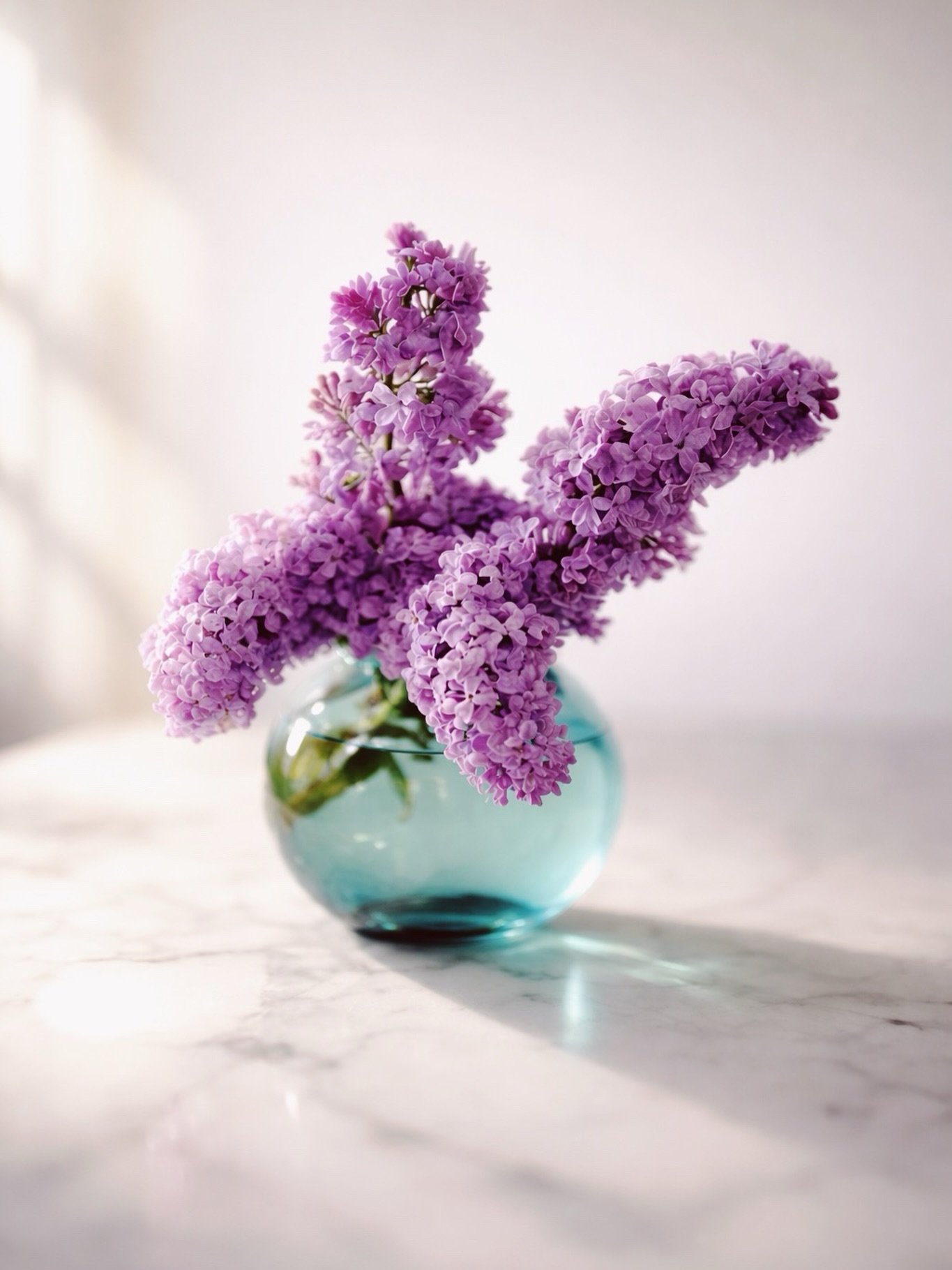 Las lilas tienen algo de aparici&oacute;n y de sentencia. Irrumpen unos d&iacute;as, perfuman el aire con una insolencia antigua, como si hubieran aprendido su oficio en un jard&iacute;n olvidado de la infancia, y despu&eacute;s se retiran sin negoci