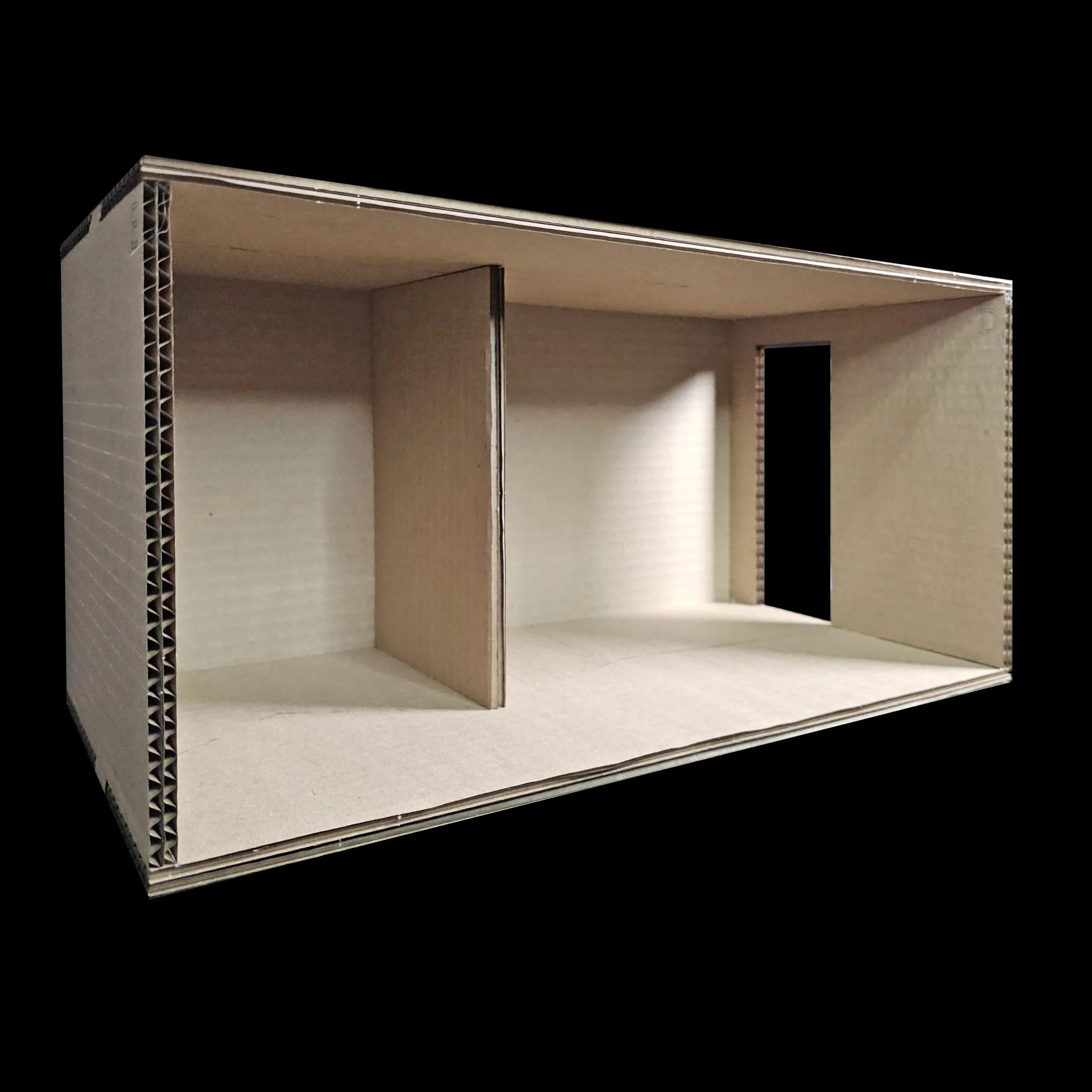 20260224_153626 copy.jpg