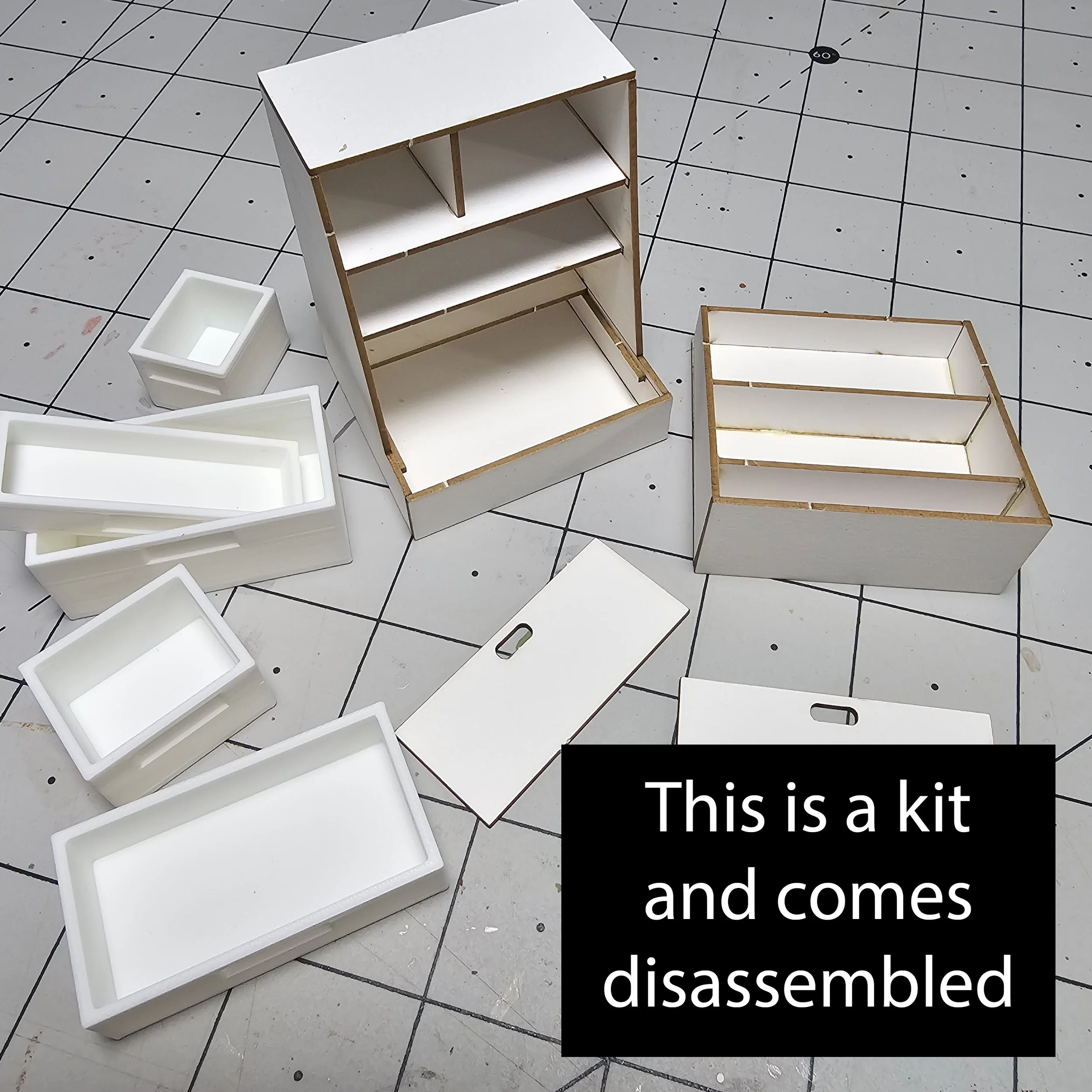 20250210_101501 copy.jpg