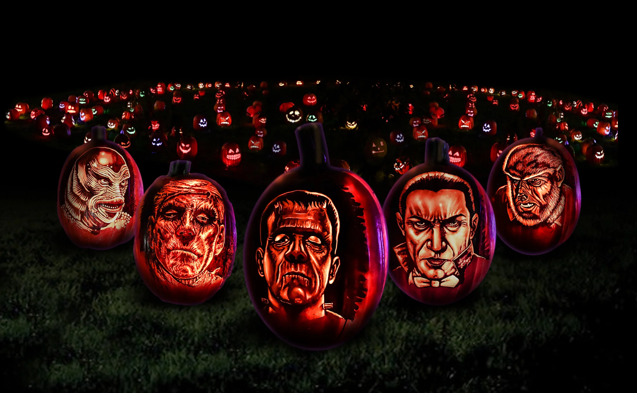 •• Pumpkin Field with HORROR.jpg
