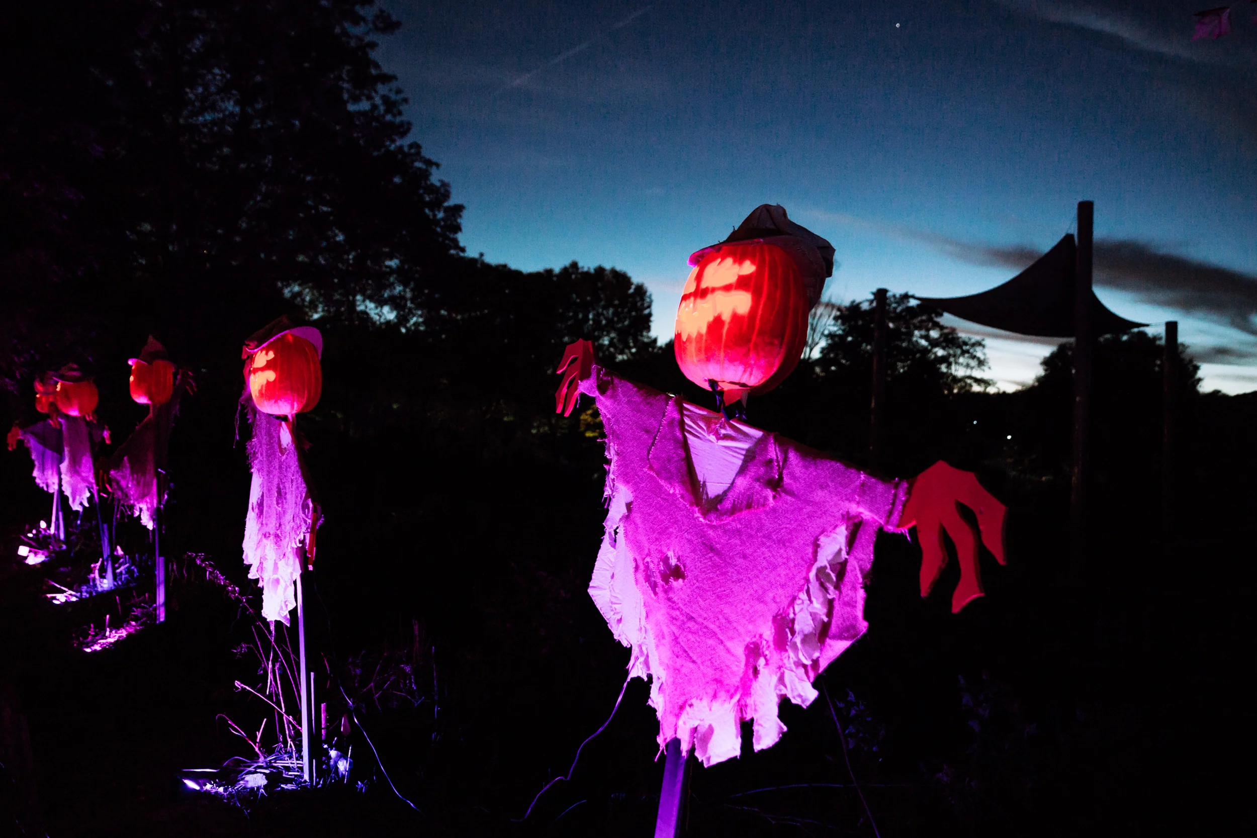 Scarecrow.jpg