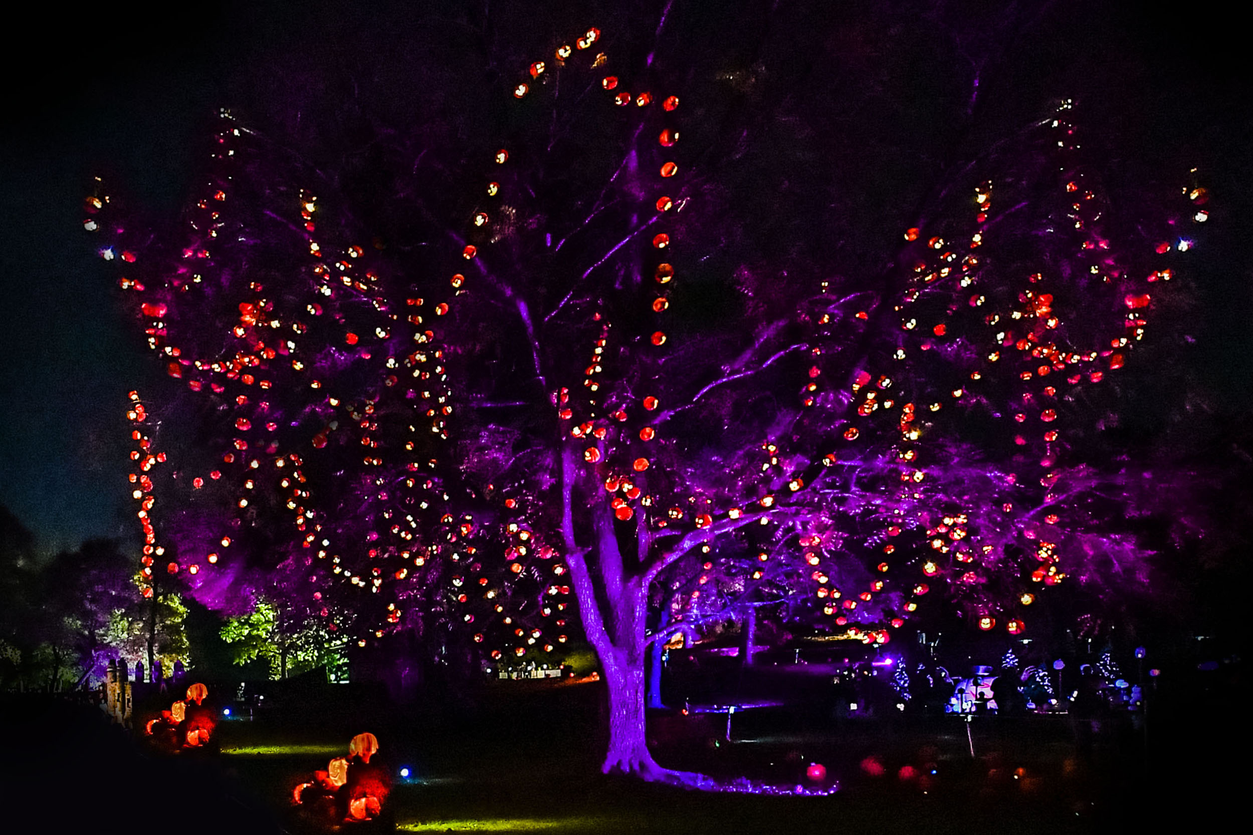 Pumpkin Tree_OLD.jpg