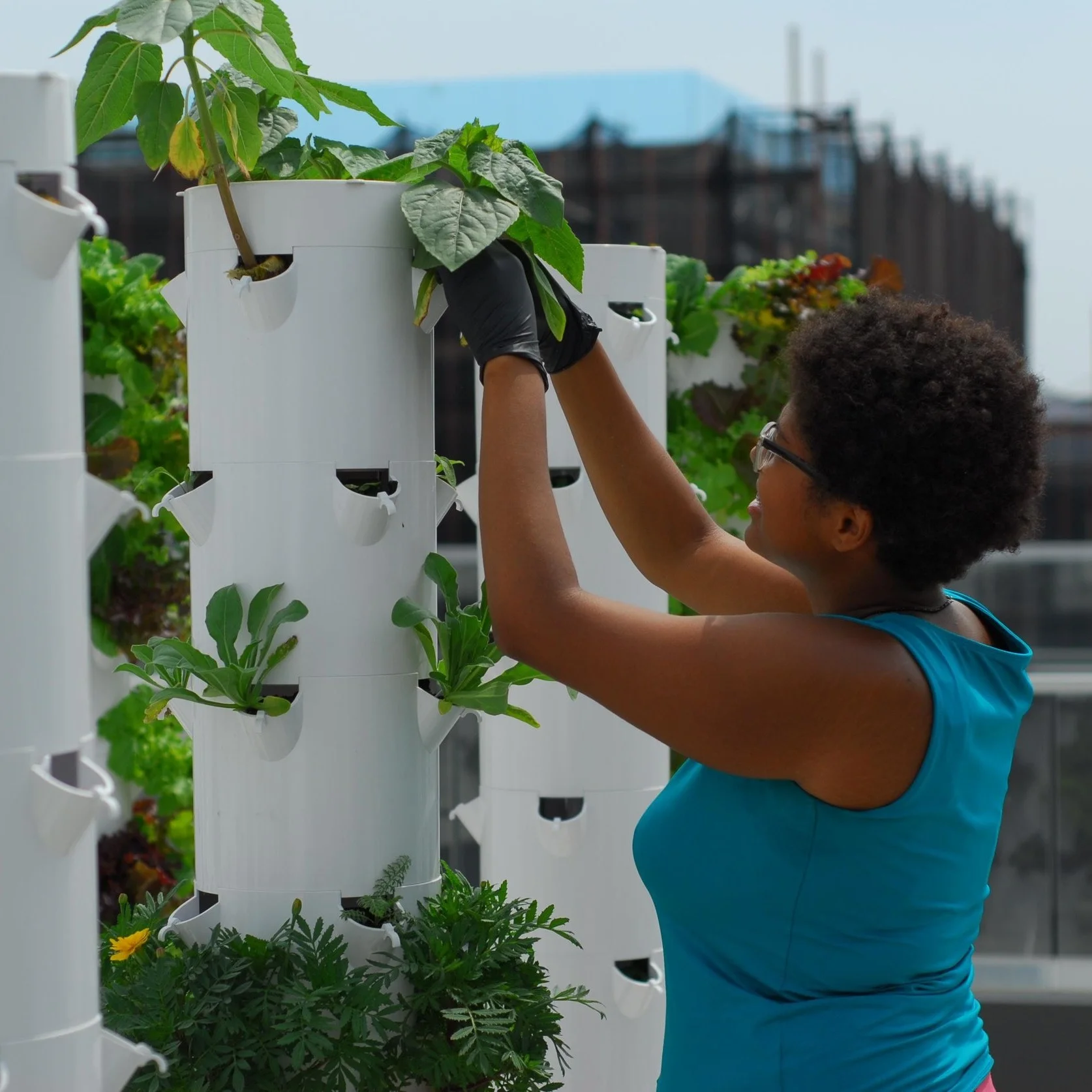 Green Food Solutions