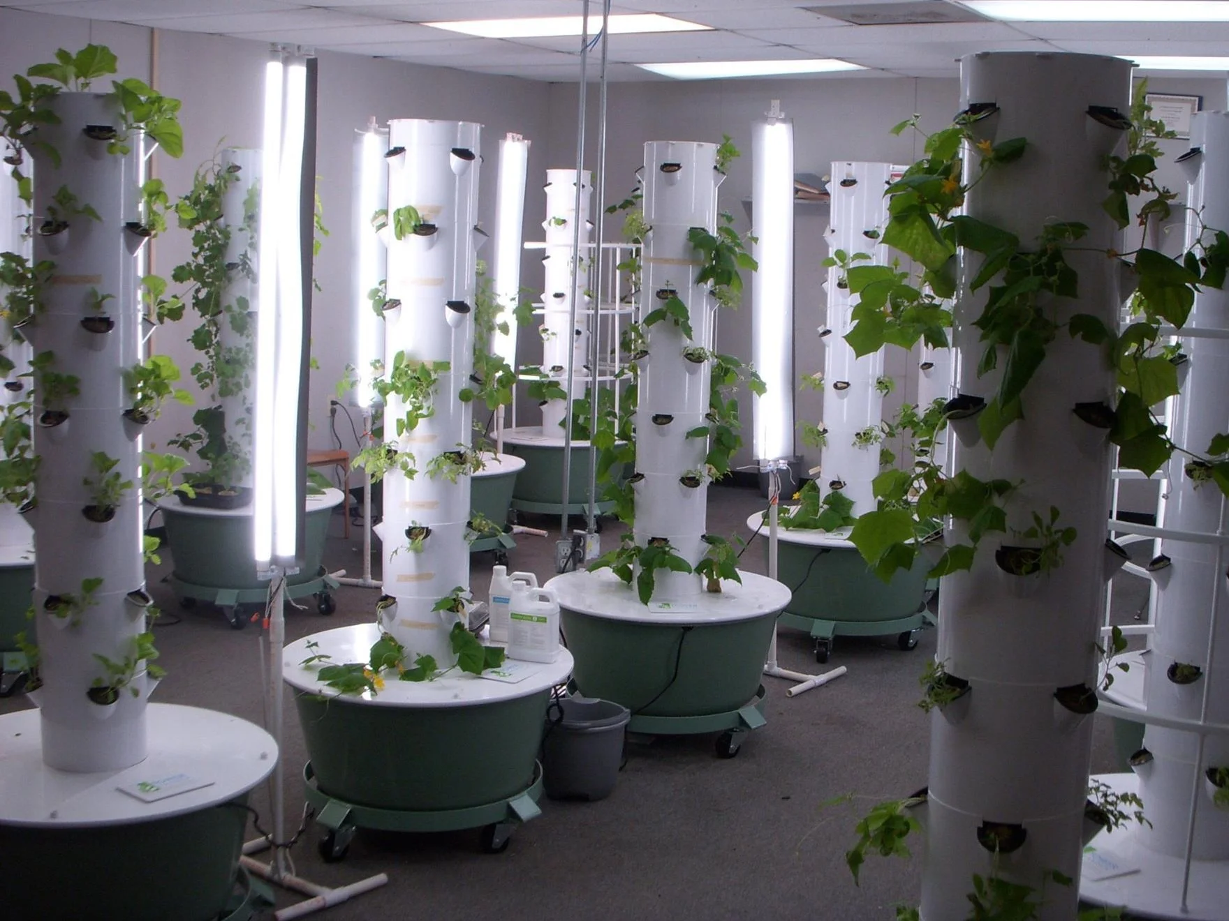 Indoor+farm+in+school+copy.jpg