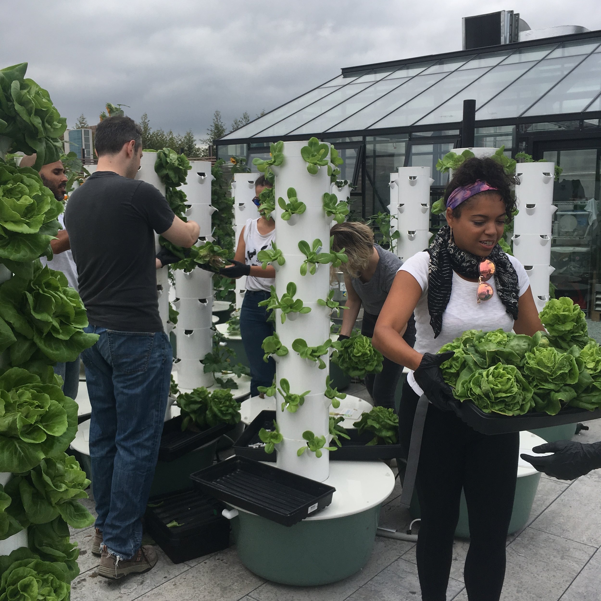 Green Food Solutions