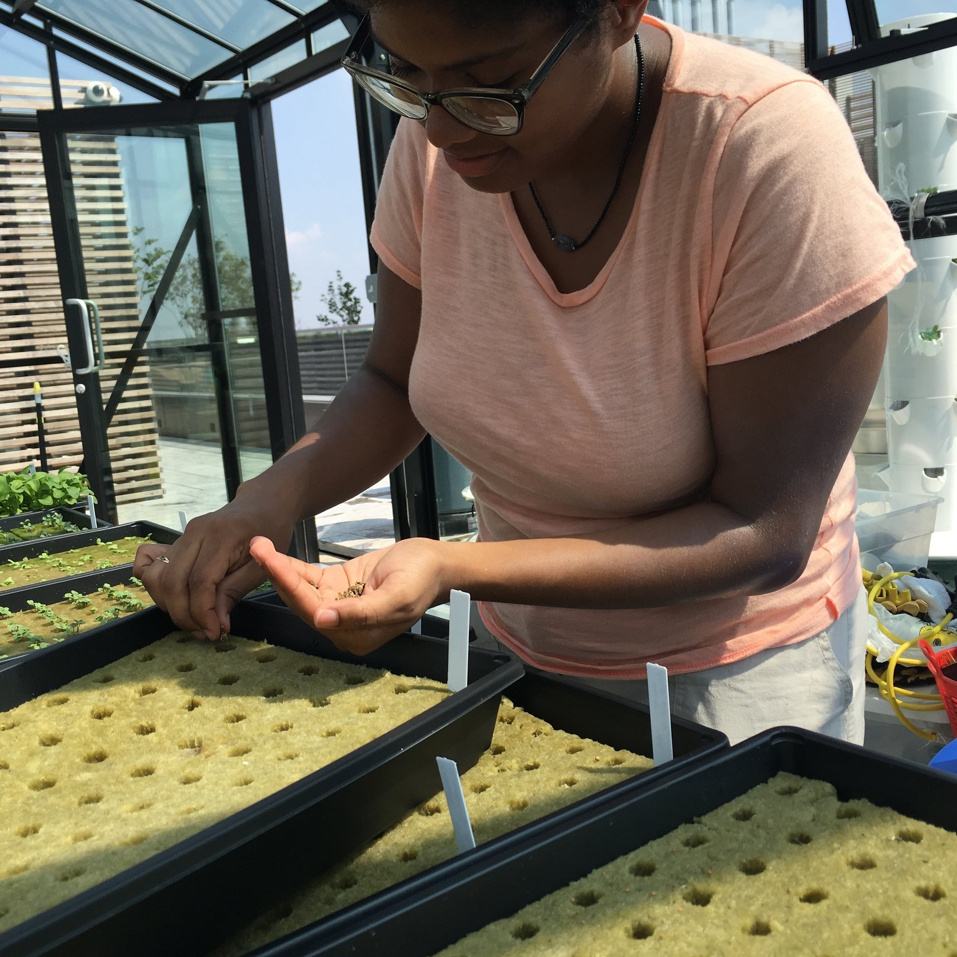 Green Food Solutions