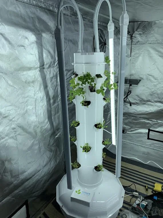 Green Food Solutions