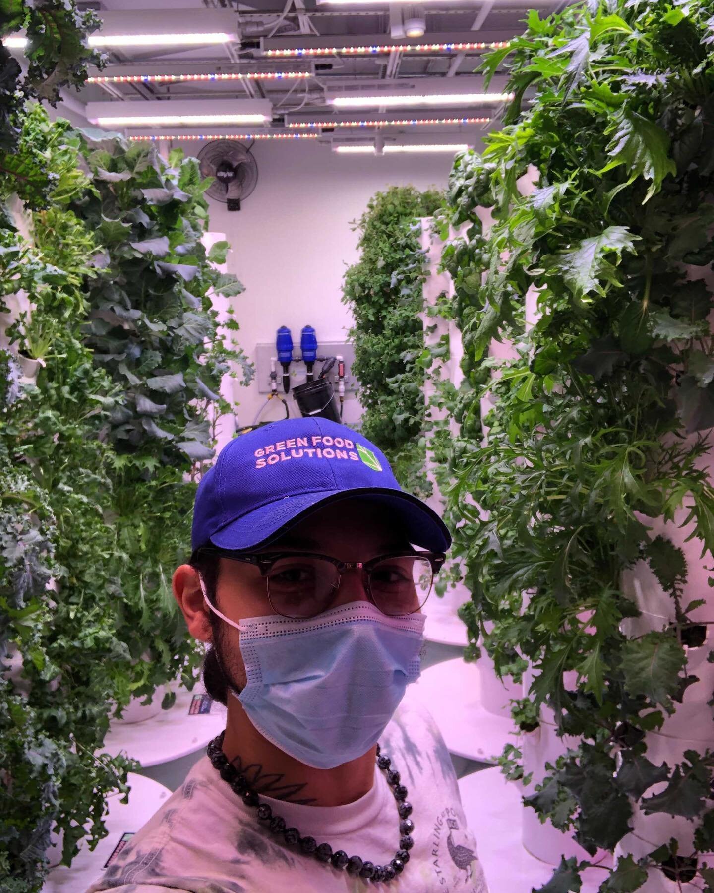 Green Food Solutions