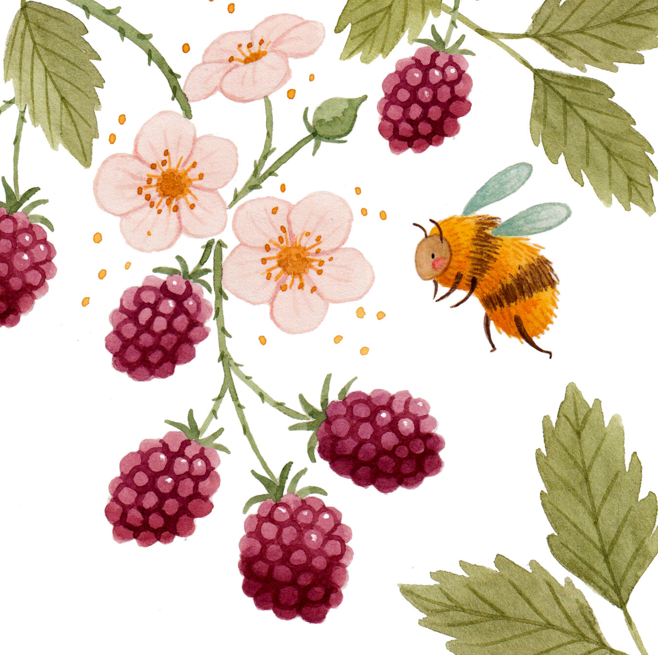 blackberry-bee.jpg