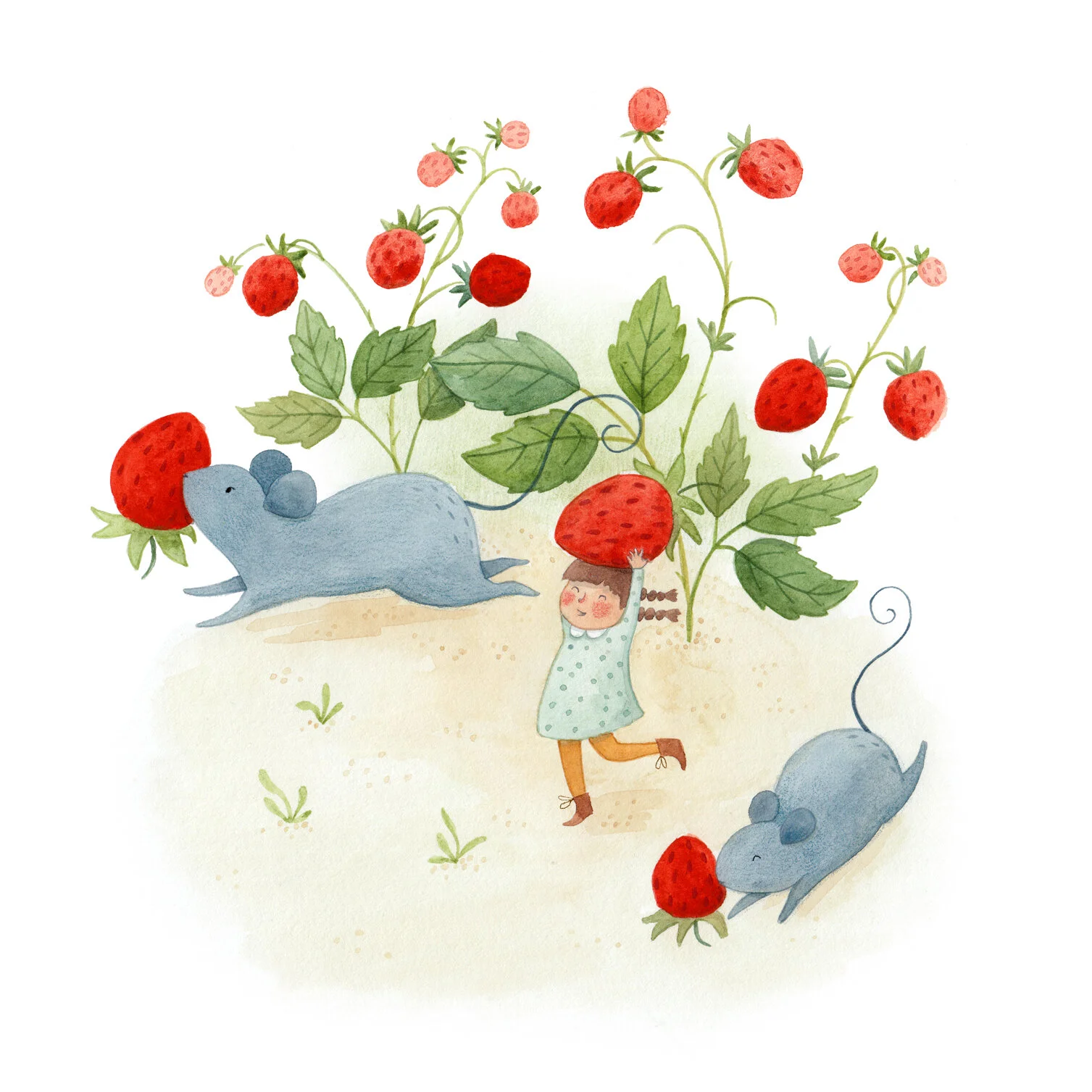 Strawberry-Theives.jpg