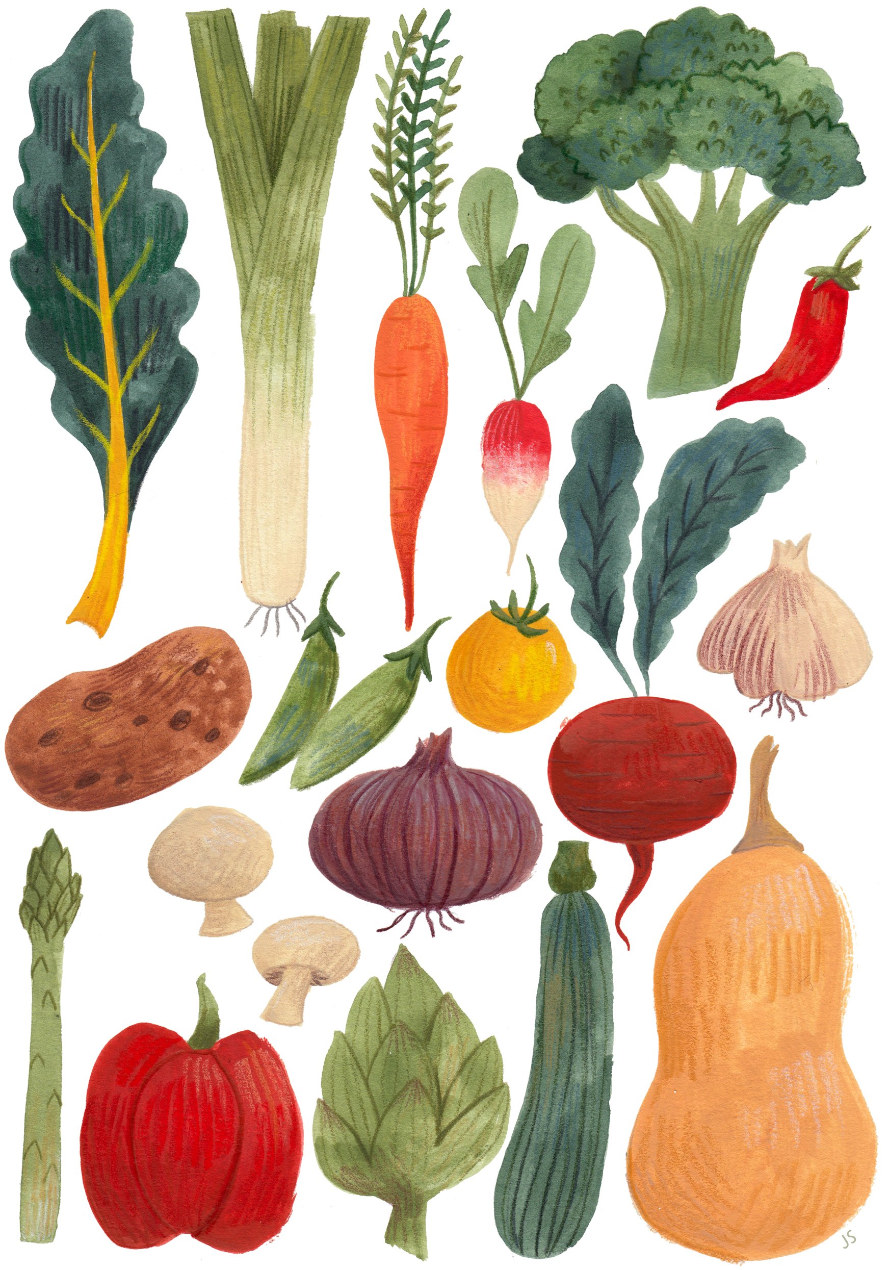 Illustrated-Veggies-Print-A5.jpg