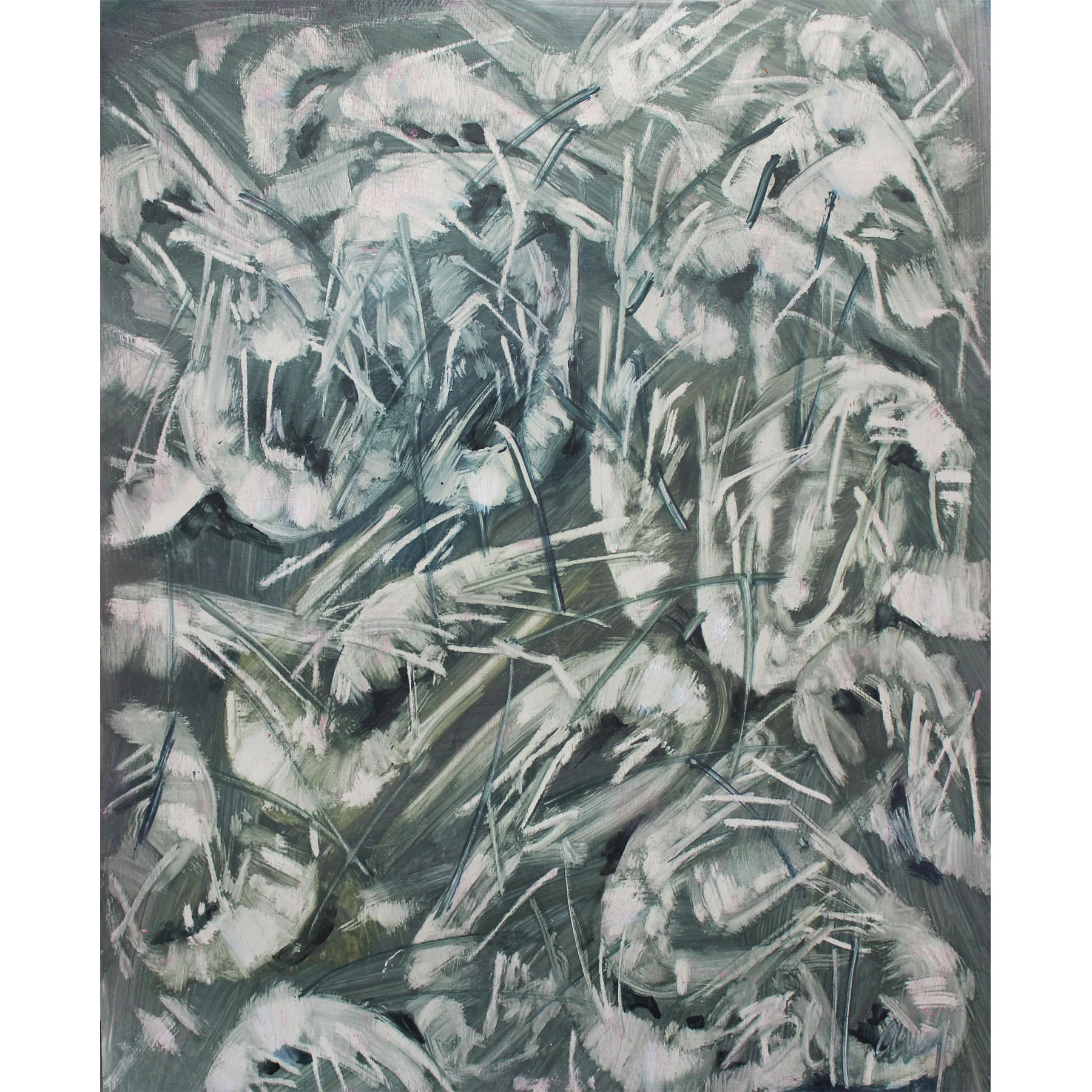 Shrimp 16x20 Oil on Wood