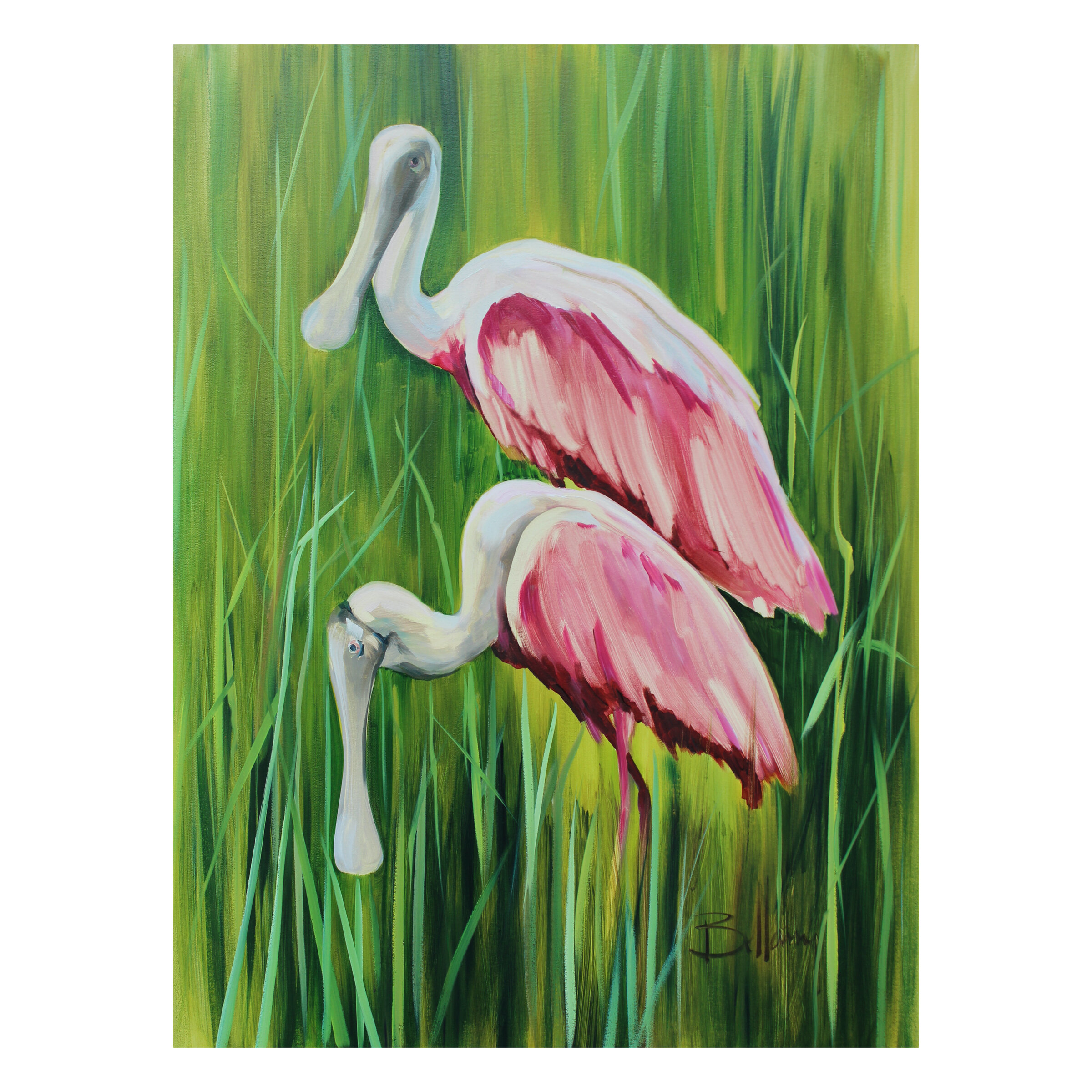 Roseate Spoonbills 36x48