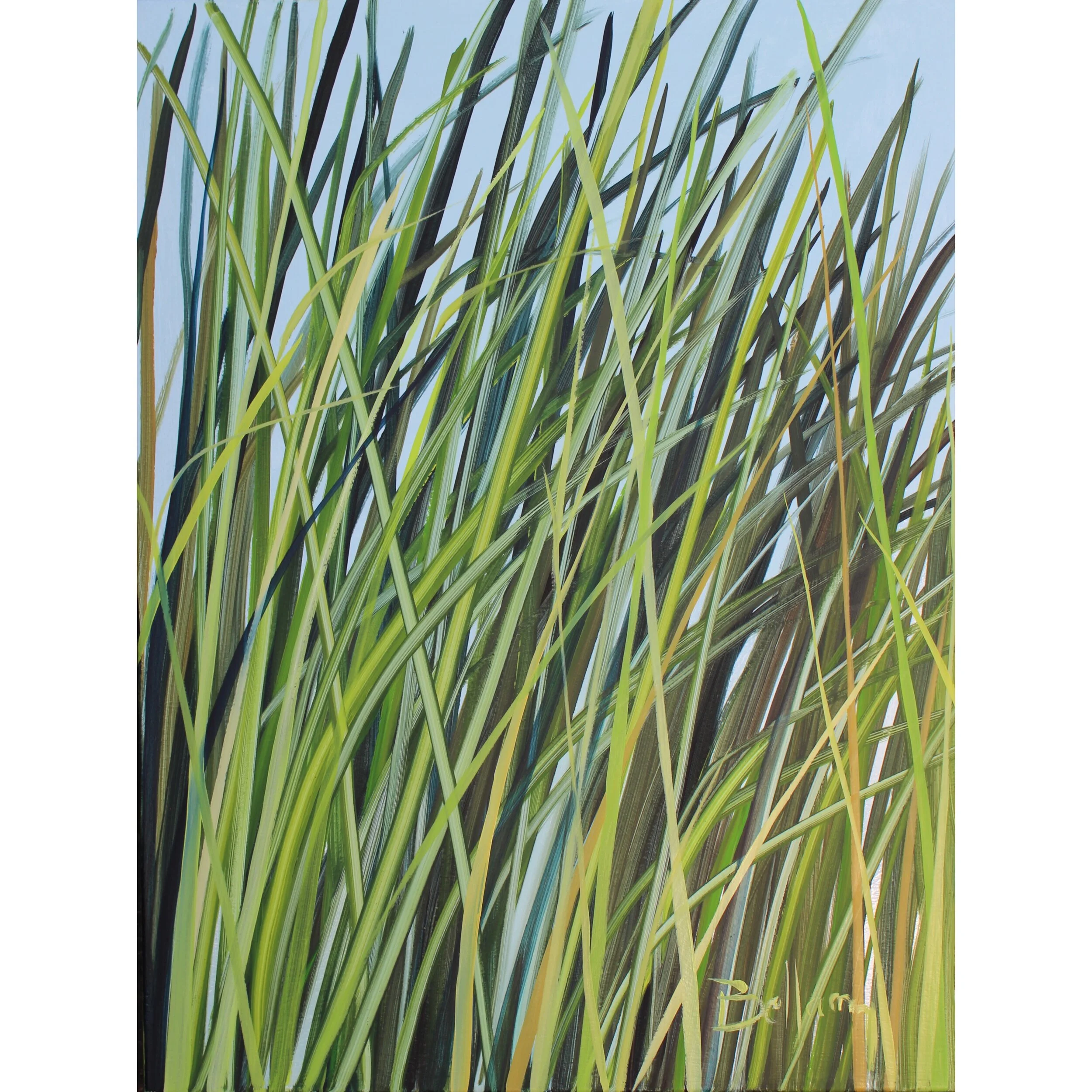 MarshGrass30x40a.JPG