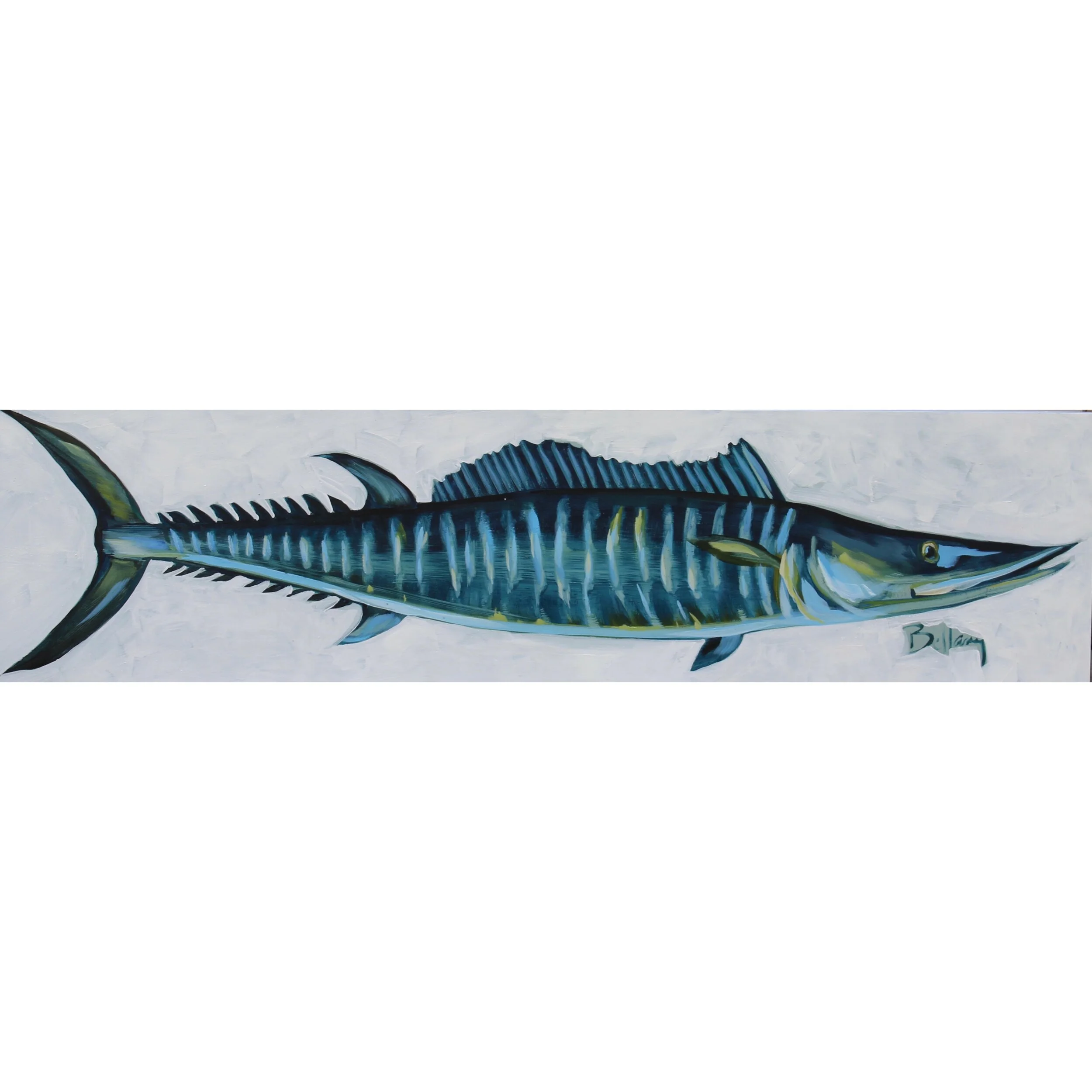 Barracuda12x48a:c.JPG