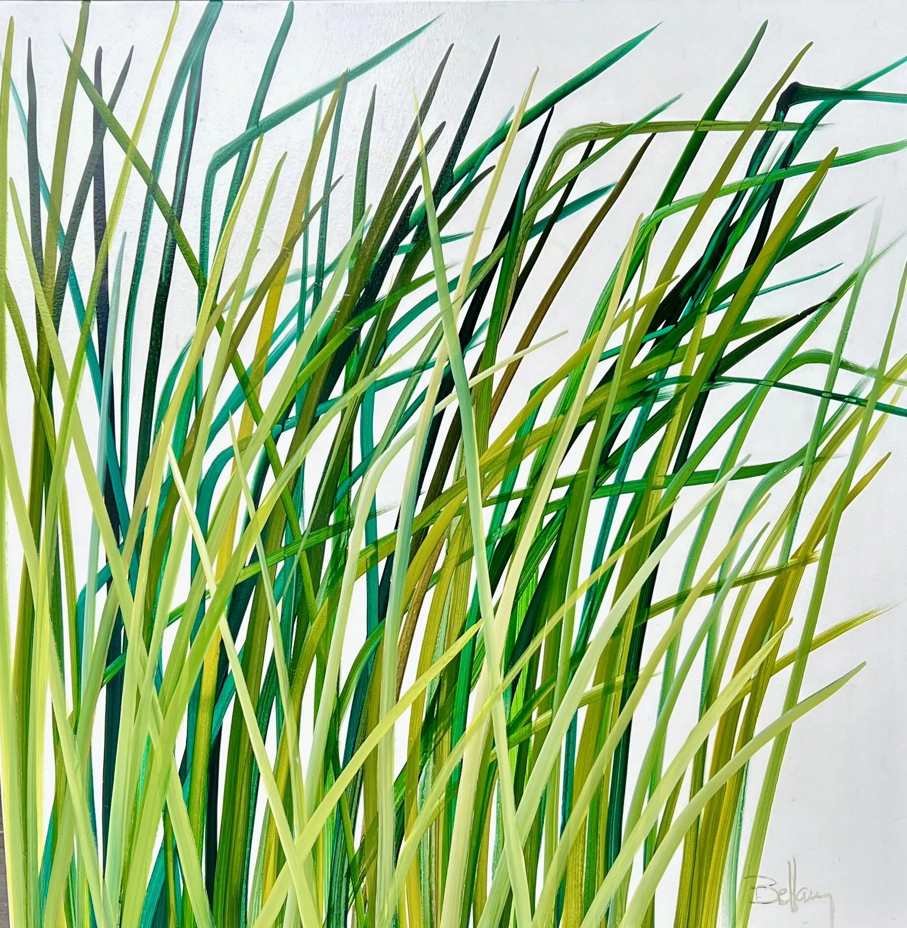 A43C485D-7E20-4D42-8AB8-632711F9DE05