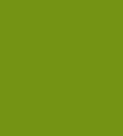 RCI_green-min.png