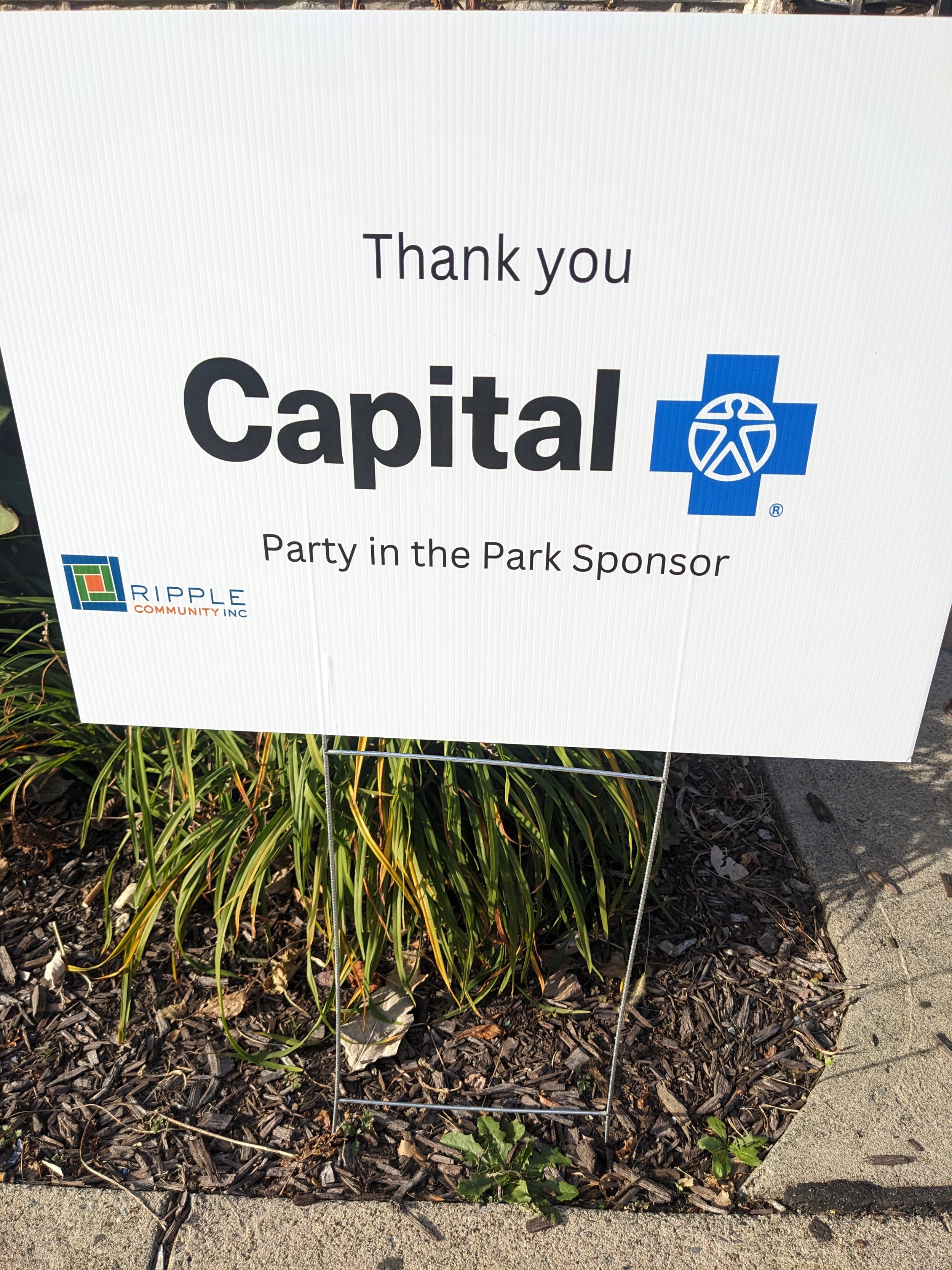capital blue party in the park.jpg