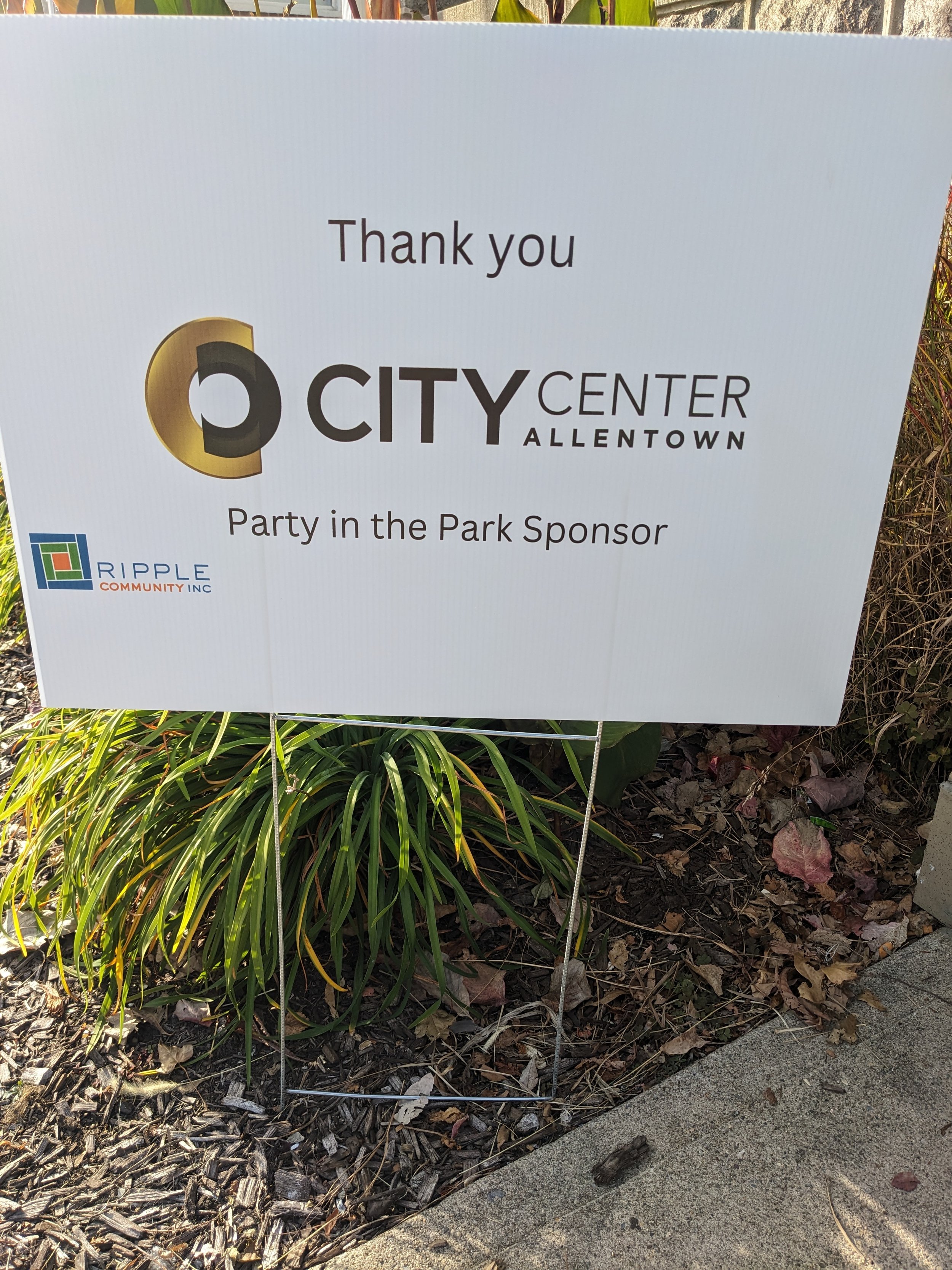 city center party in the park.jpg