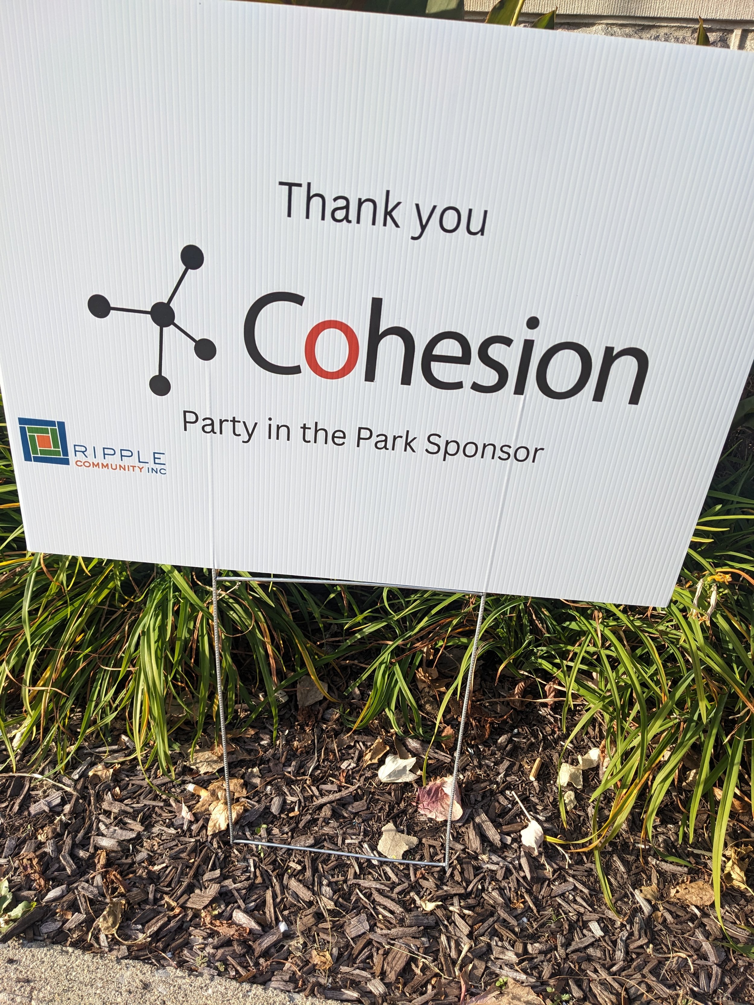 cohesion party in the park.jpg