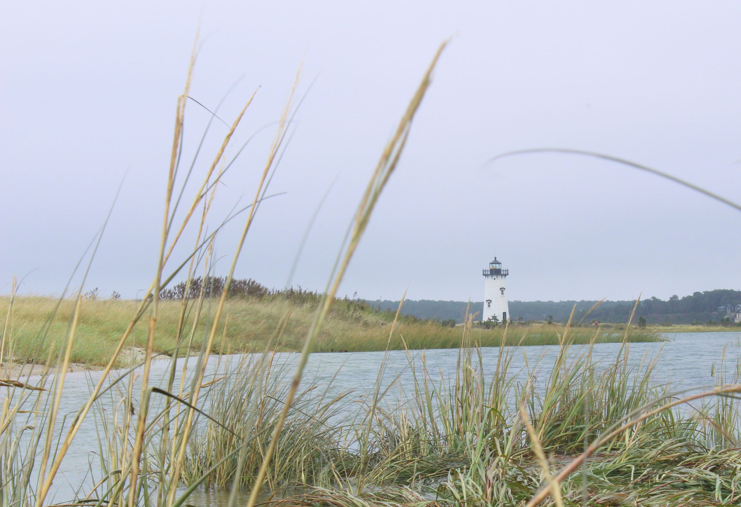 Edgartown_Lighthouse_Beach_Sea_Grass_Sand_Ocean.jpg