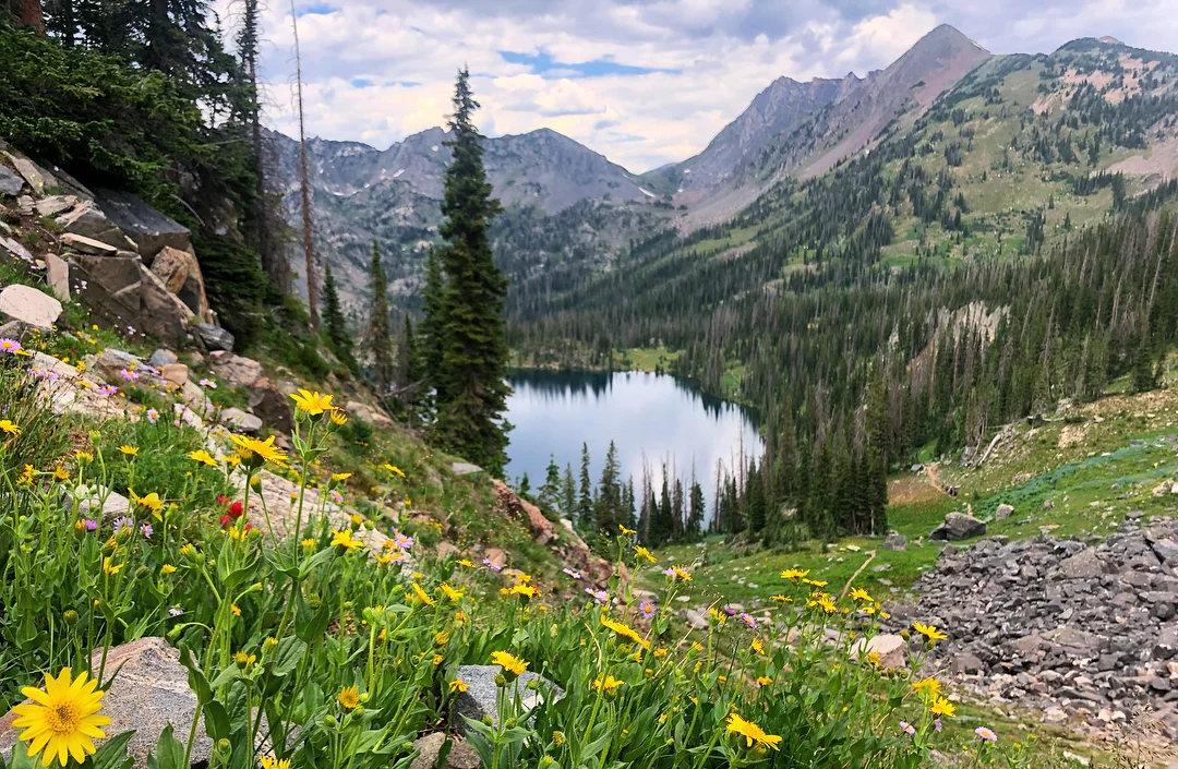 RMSW Group Hike at Mt. Zirkel Loop Trail 