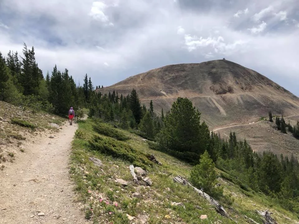 Navigation Clinic Recap 2020