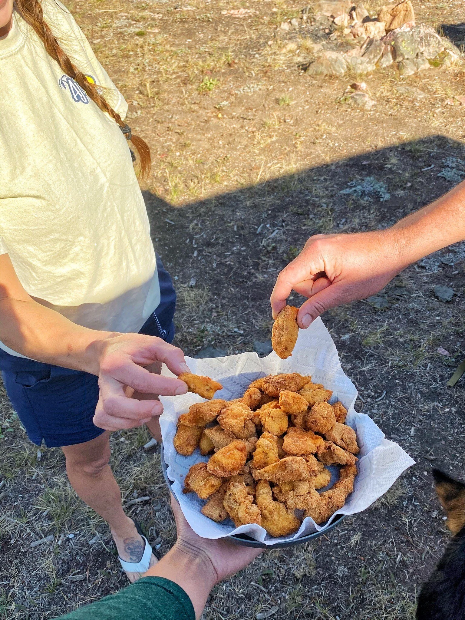 Elk Camp Grouse Nuggets