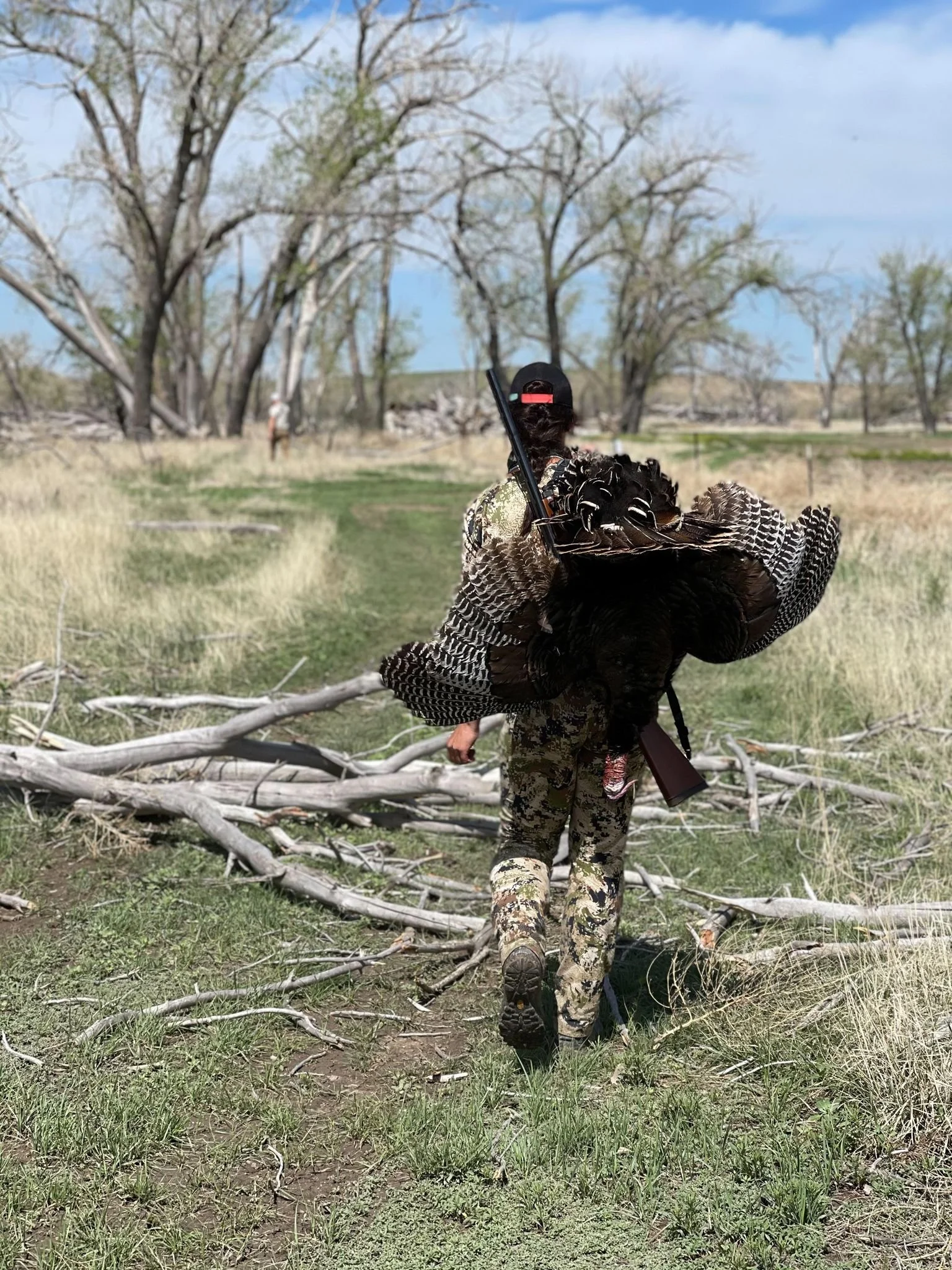 Turkey Hunting 101 with Colorado Parks &amp; Wildlife