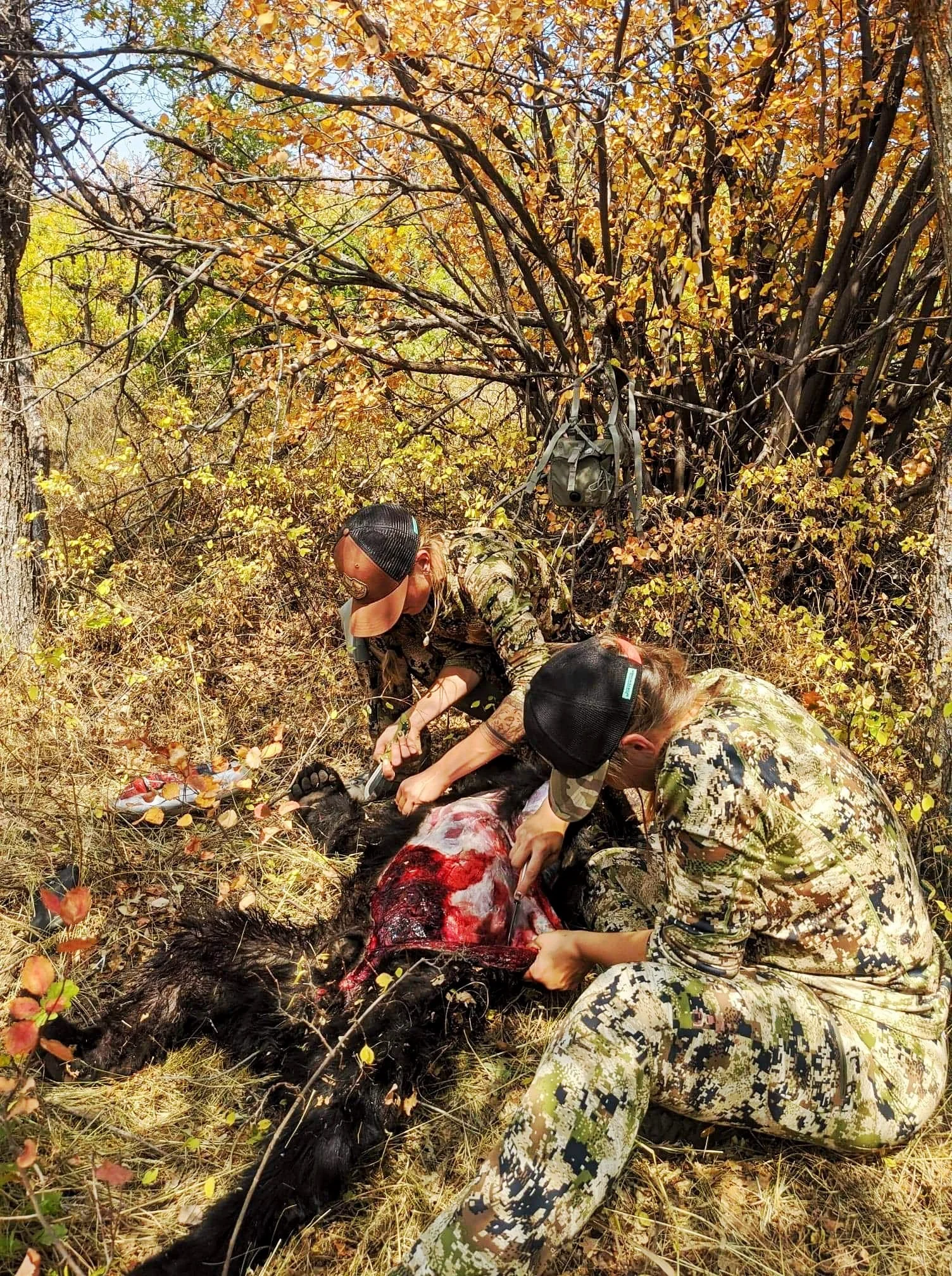 How to Skin a Bear and Quarter a Big Game Animal Clinic