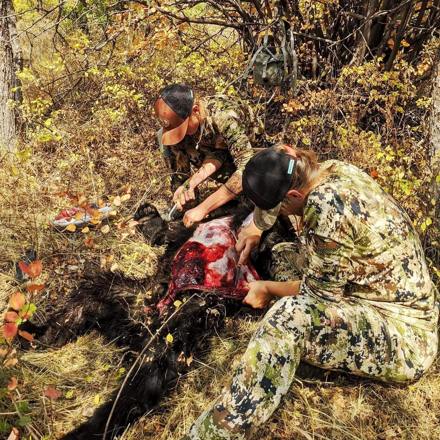 We still have some availability for our upcoming bear skinning and quartering clinic, and with exciting news! @outdooredgeknives graciously donated this amazing game processing set for us to giveaway to one of our lucky participants! Sign up for the 