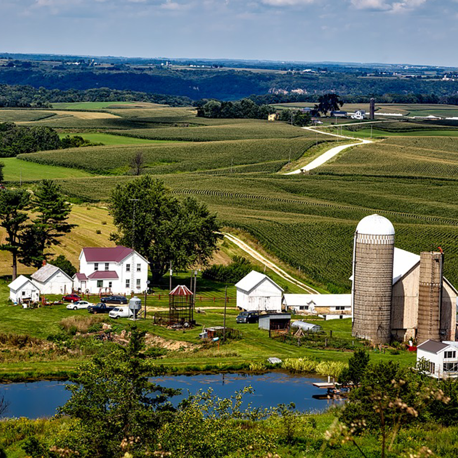 IOWA. 