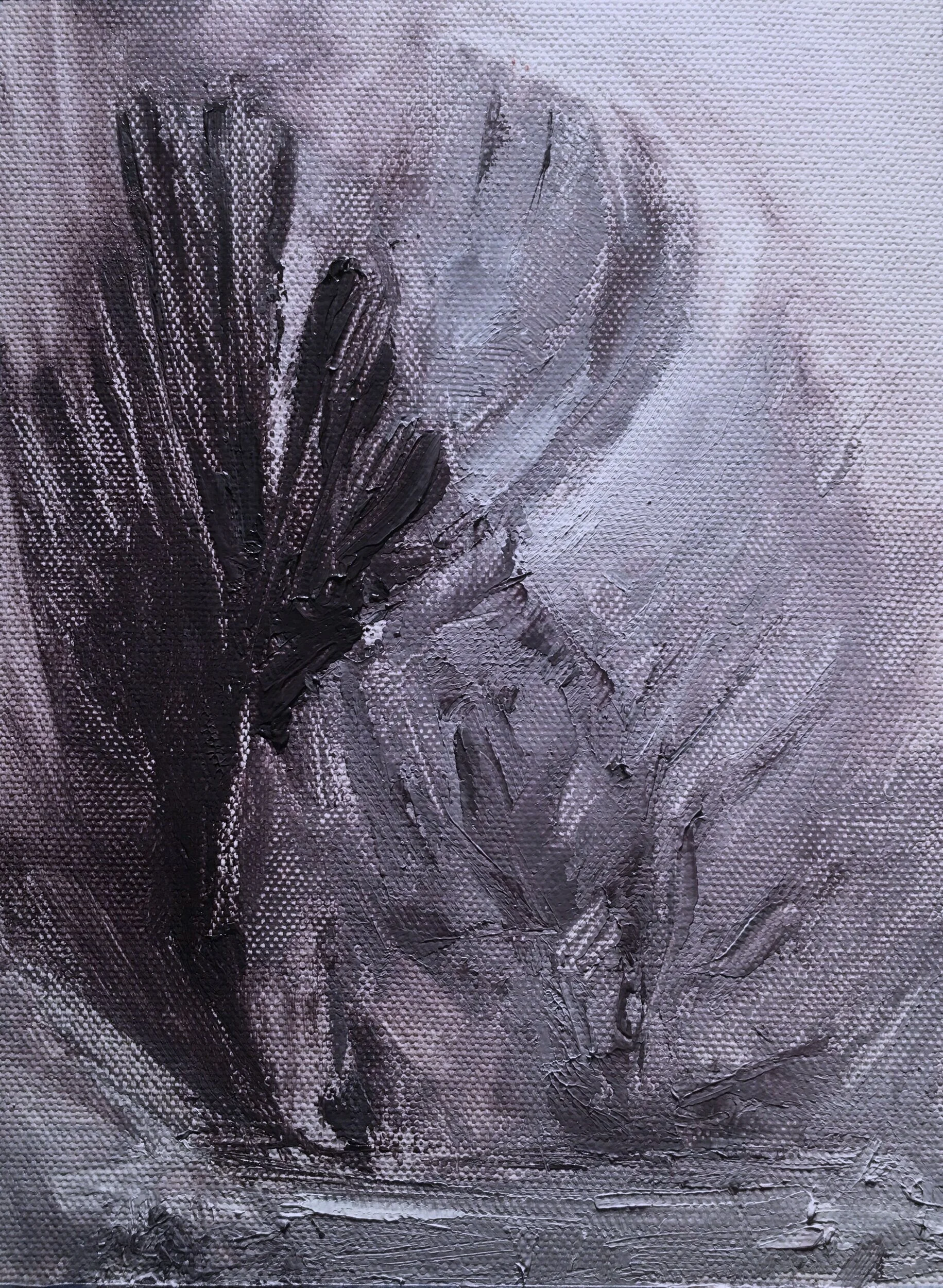 644341A0-594D-41C8-8C45-E4B35889D81F