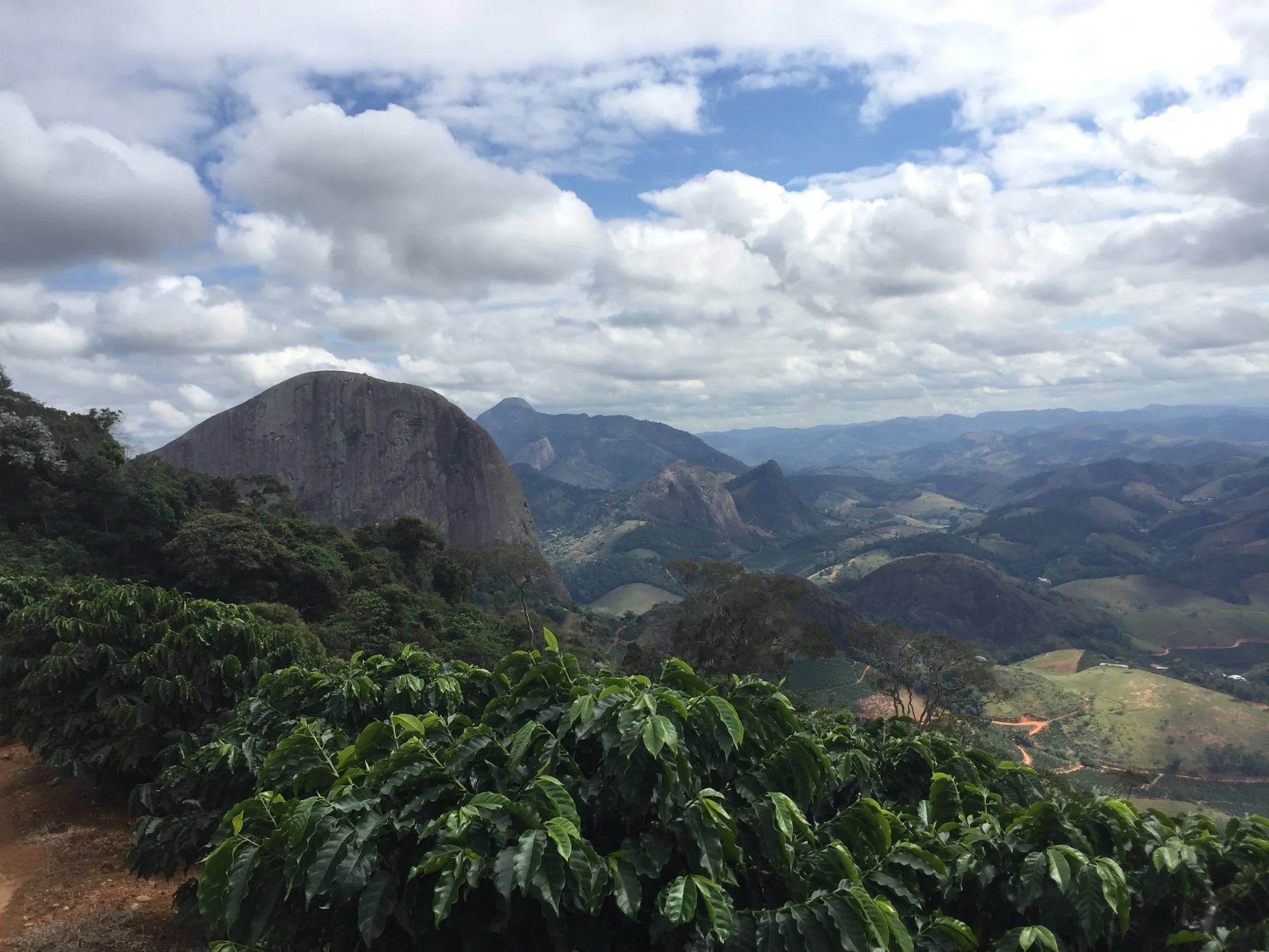Kopie von Espirito Santo, Drip Roasters (www.driproasters.ch)