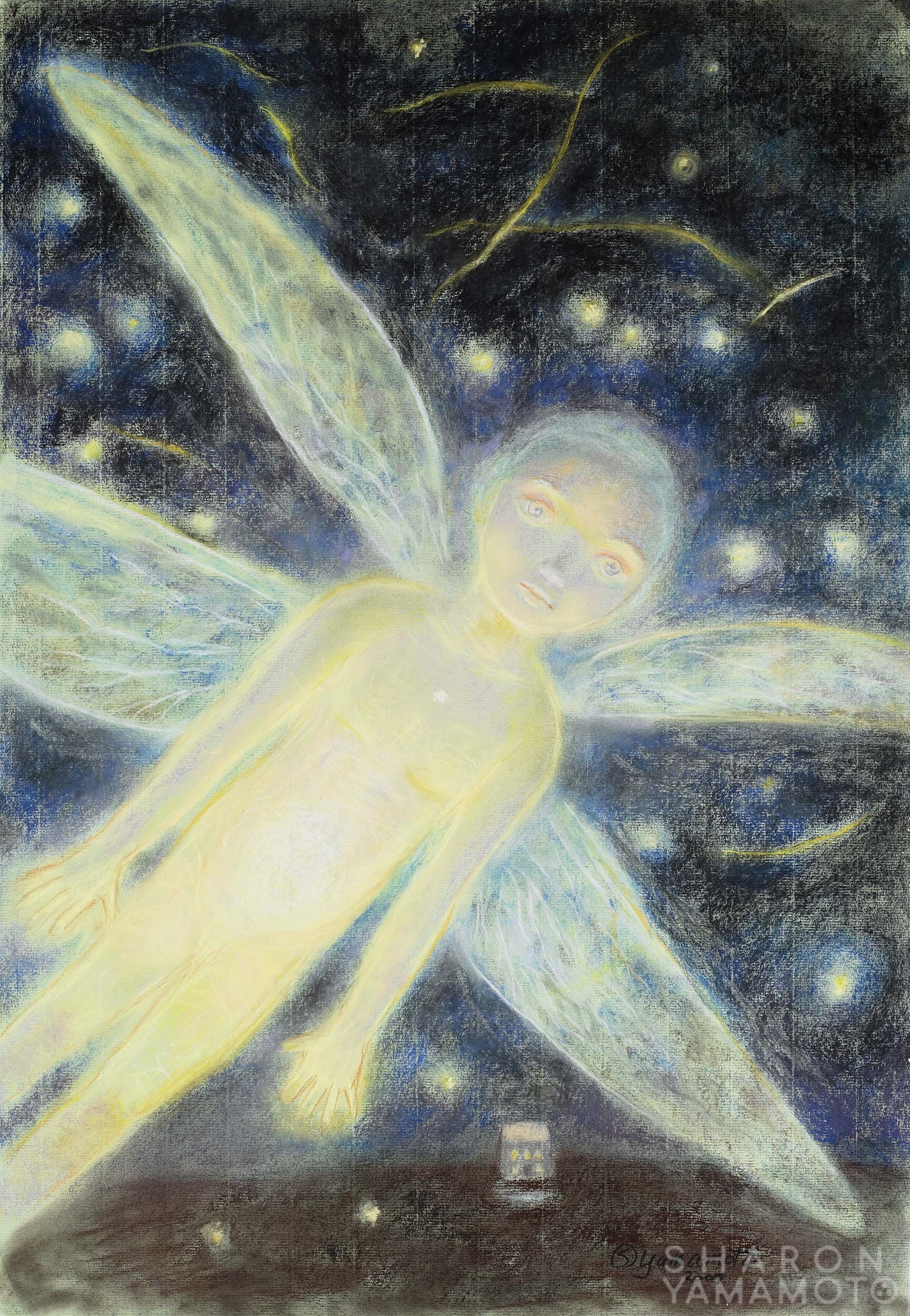 FIREFLIES IN ANCONA