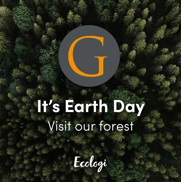 Happy Earth Day! To celebrate we've asked our friends at @Ecologi_hq to plant an extra 25 trees for us. ⠀
visit our forest and help us plant more trees https://buff.ly/3tyjBdb⠀
⠀
#SeedsOfHope #RestoreOurEarth #EarthDay #EarthWeek #EarthDay2021 #richm