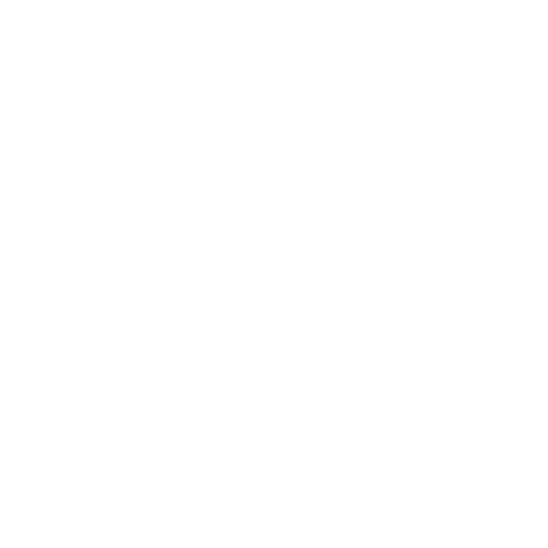 Borrowed &amp; Blue Event Coordination and Design