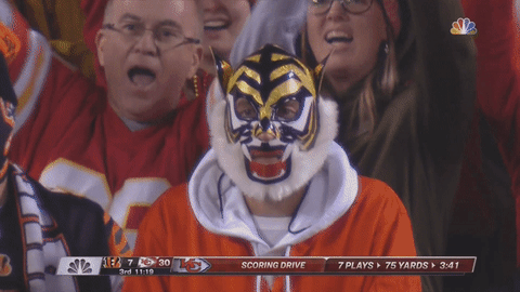 giphy (1).gif