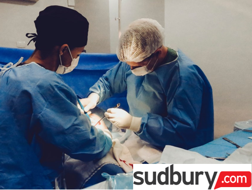 July 14, 2021 - Sudbury News