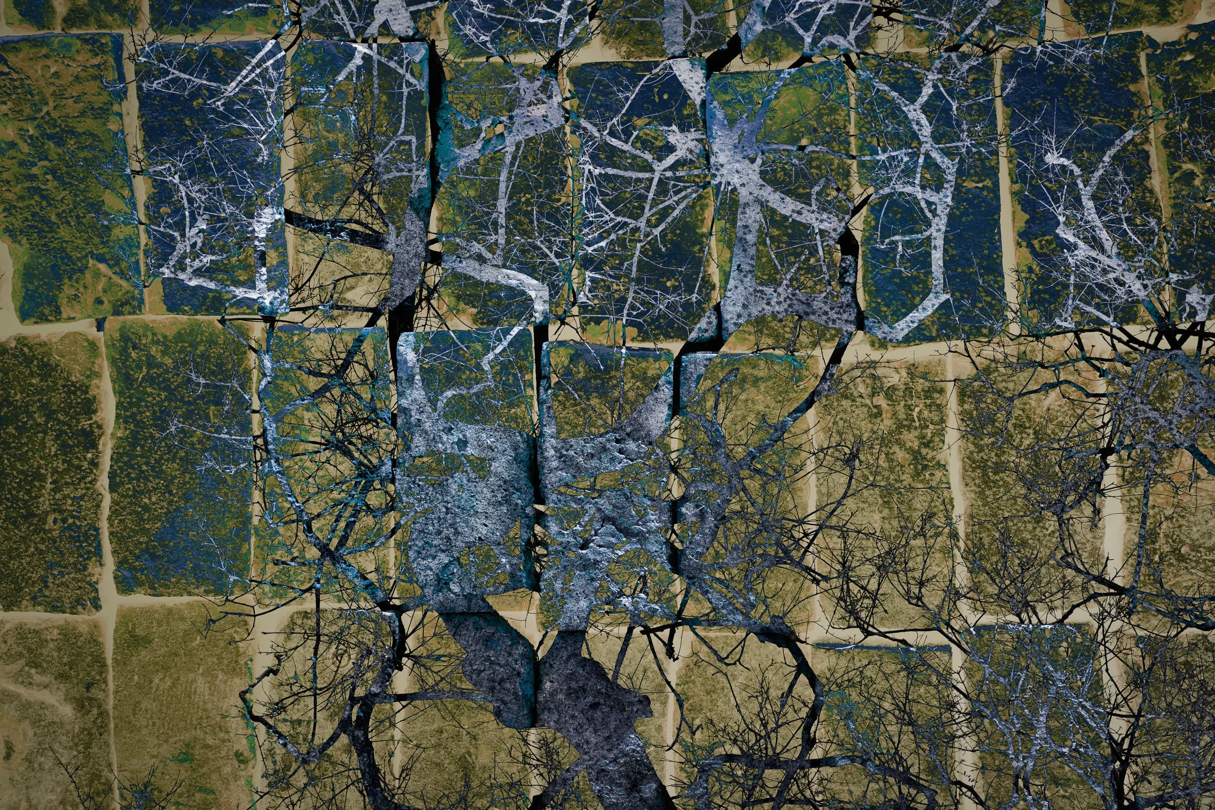 Disappearing Trees III /Árboles Desapareciendos III