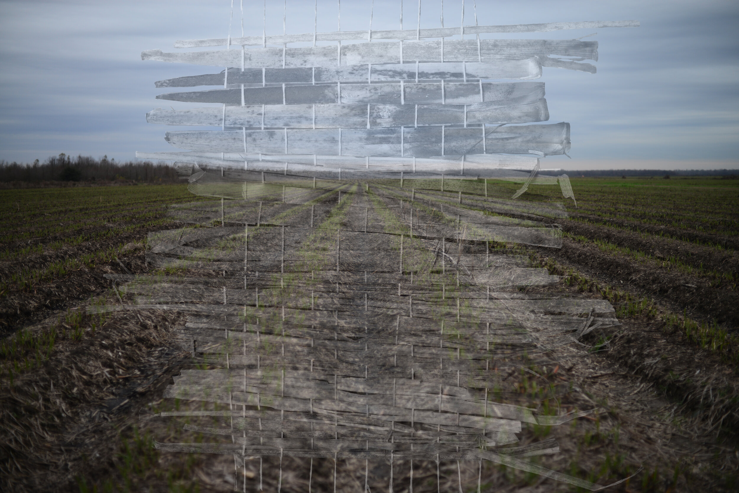 Lucas Hastings _ Untitled, Times Tethered, Proposed Location of the Formosa Plant, St. James Parish, LA and Sugar Cane Weaving _ 2021.jpg